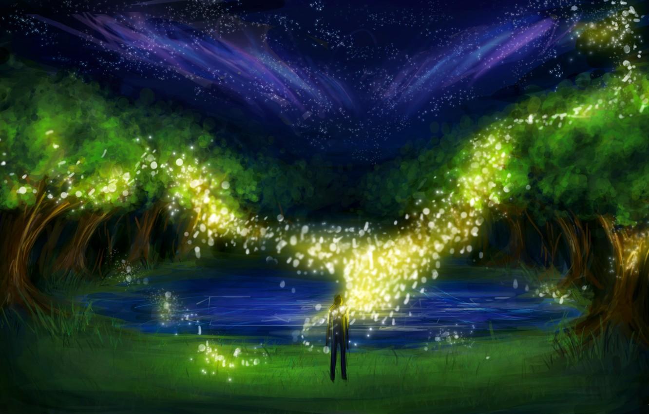 Wallpaper grass, trees, night, lake, fireflies, people, lights