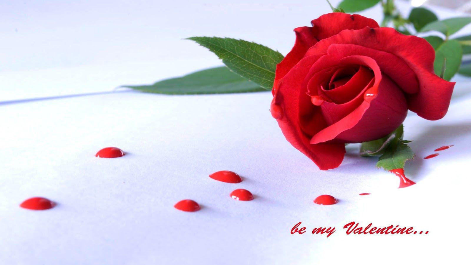 Happy Rose Day Wallpaper HD Download Free 1080p I Love