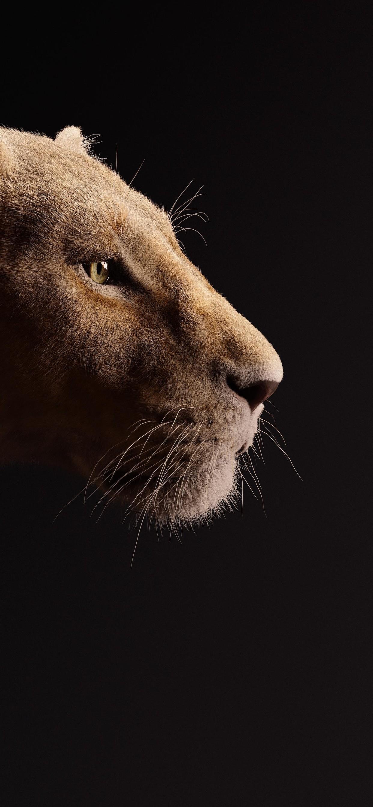 beyonce as nala the lion king 2019 5k iPhone Wallpaper Free Download