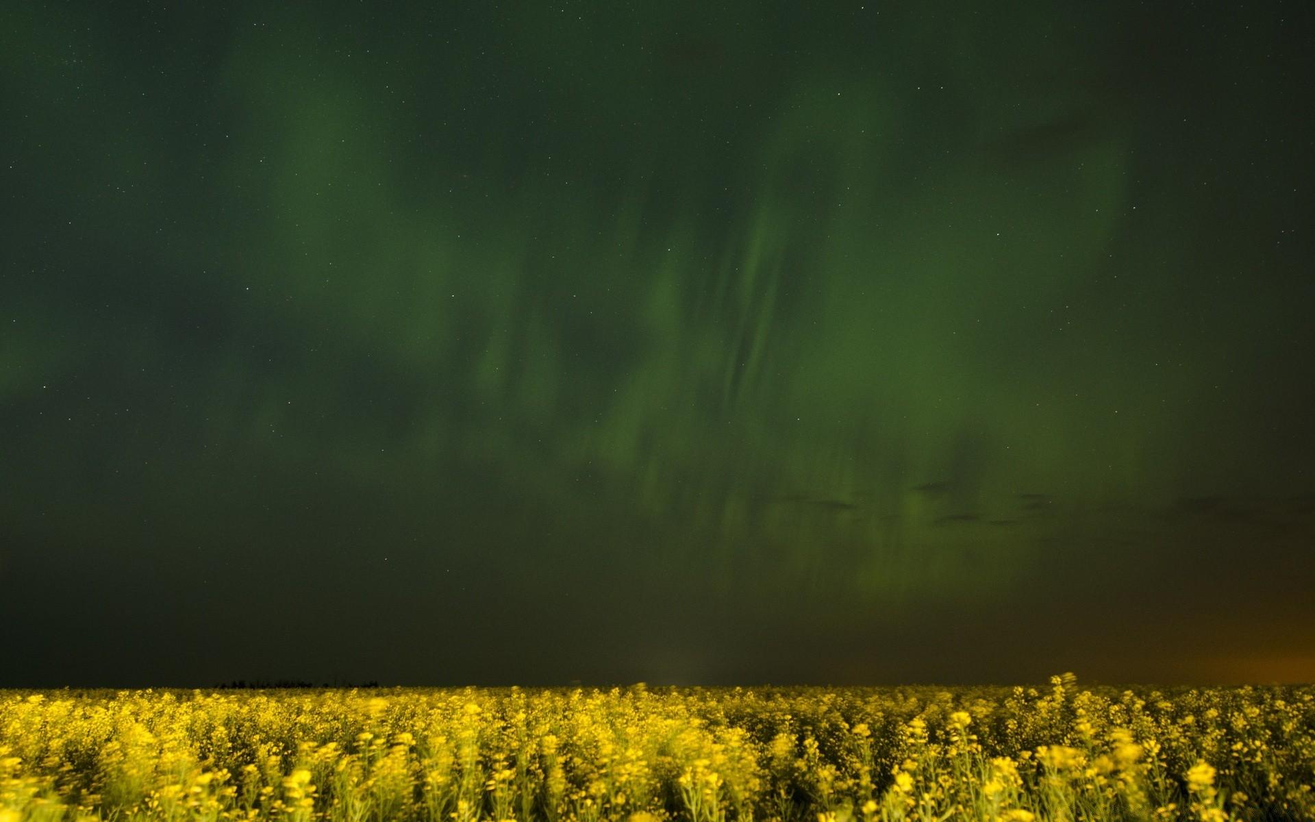 Aurora Over Canola Fields In Alberta