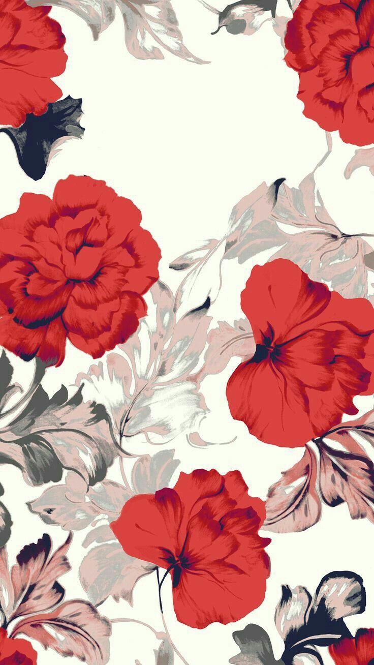 iPhone Wallpaper. Red, Hawaiian hibiscus, Flower, Petal, Floral