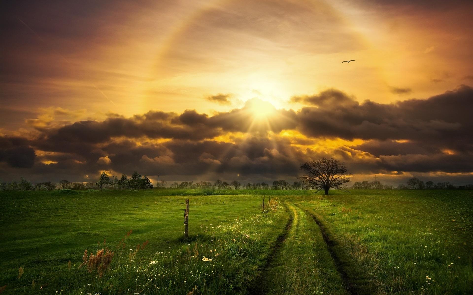 Wallpaper Grass, fields, trees, clouds, sun rays 1920x1200 HD