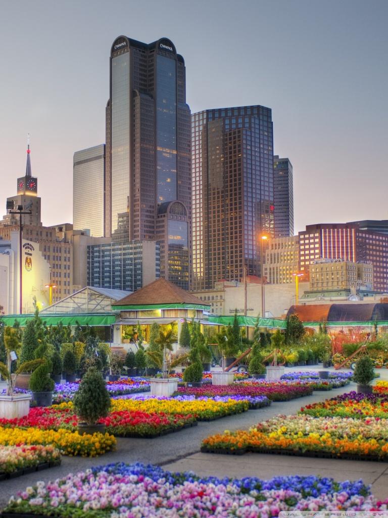 Downtown Dallas From The Flower Market Ultra HD Desktop Background