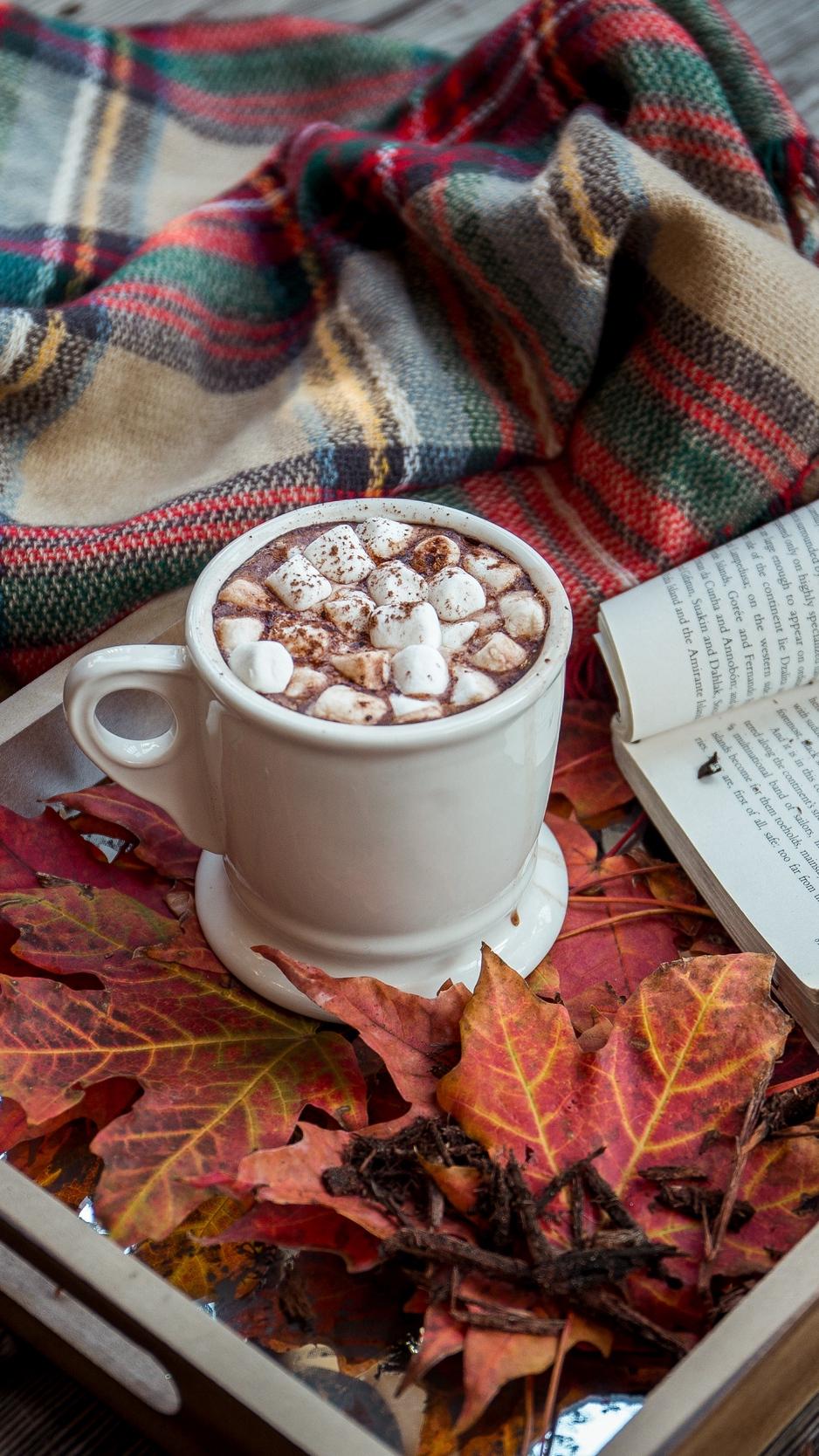 Download Wallpaper 938x1668 Cocoa, Marshmallow, Plaid, Book, Autumn Iphone 8 7 6s 6 For Parallax HD Background
