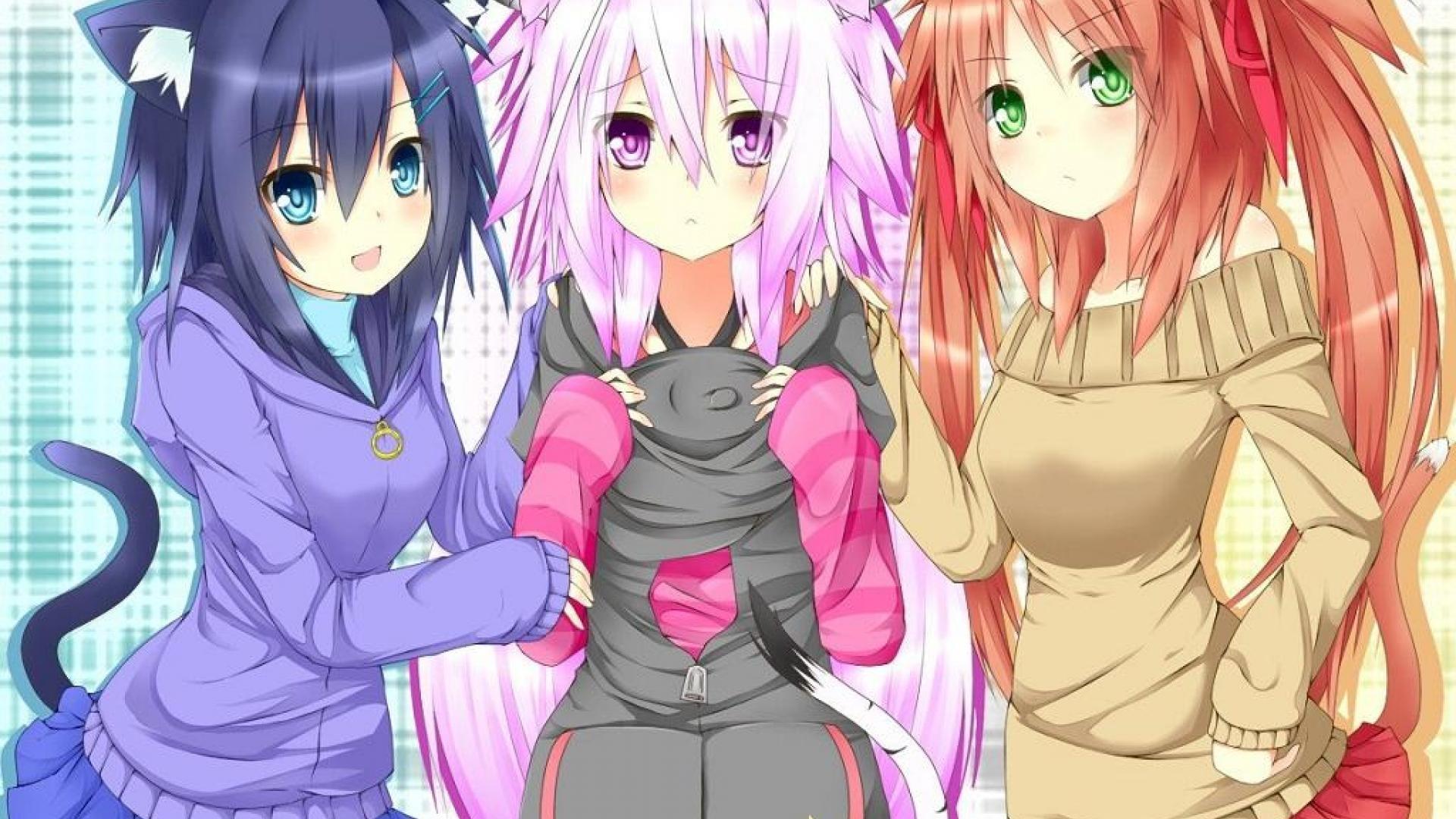 Neko Wallpaper