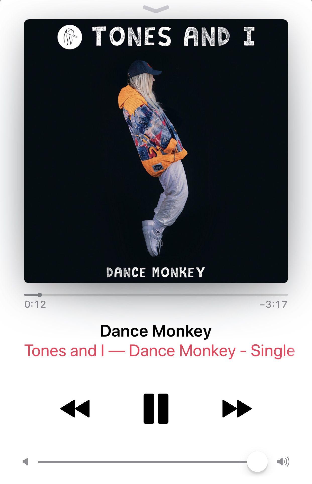 Песня dance monkey tones