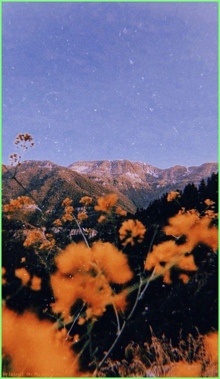 Wallpaper Hintergründe Vintage - #naturlocken