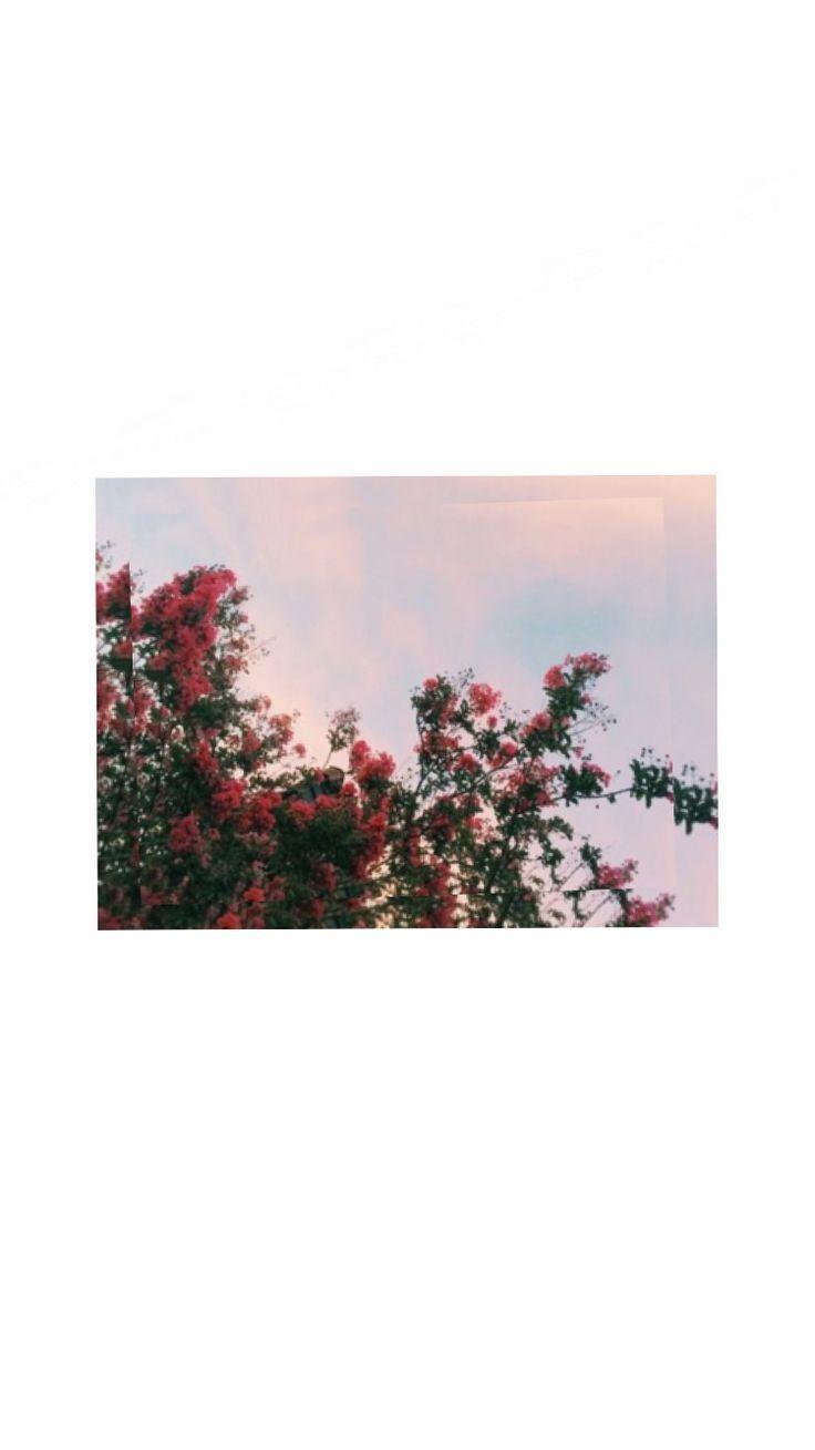 İphone Wallpaper>, esina1._. Pastell