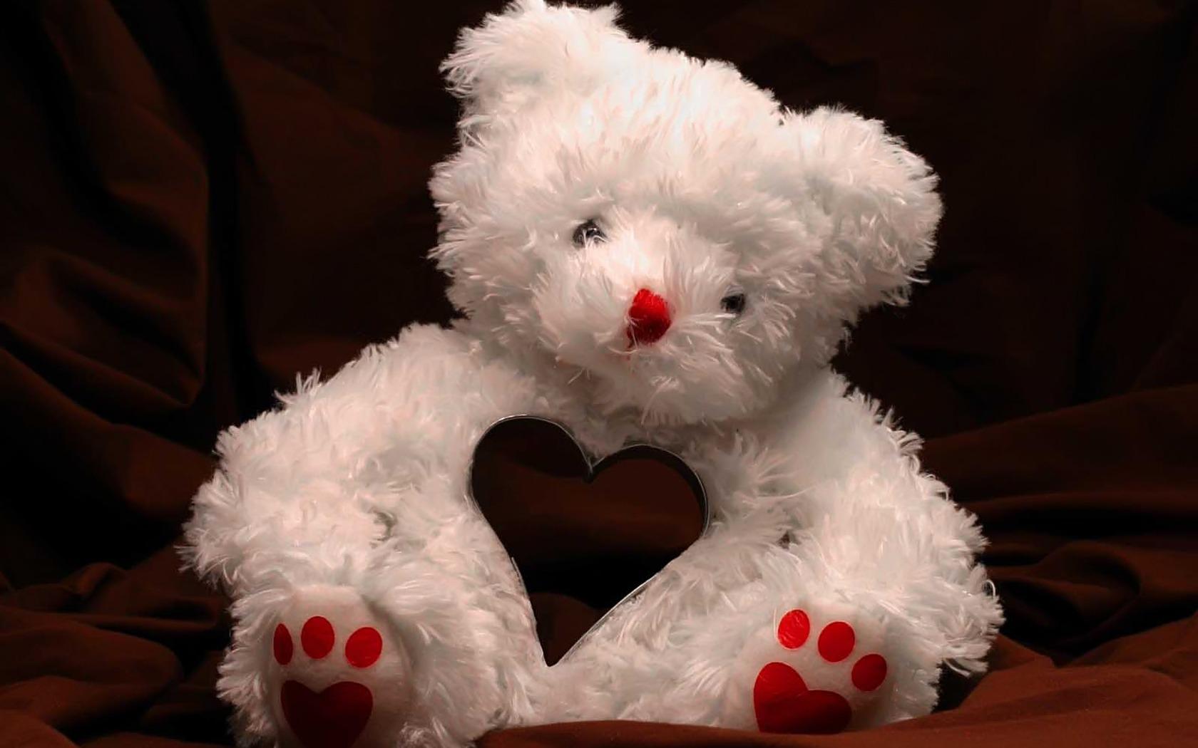 Valentine s Teddy Bear Wallpaper Valentines Day Holidays Wallpaper in jpg format for free download