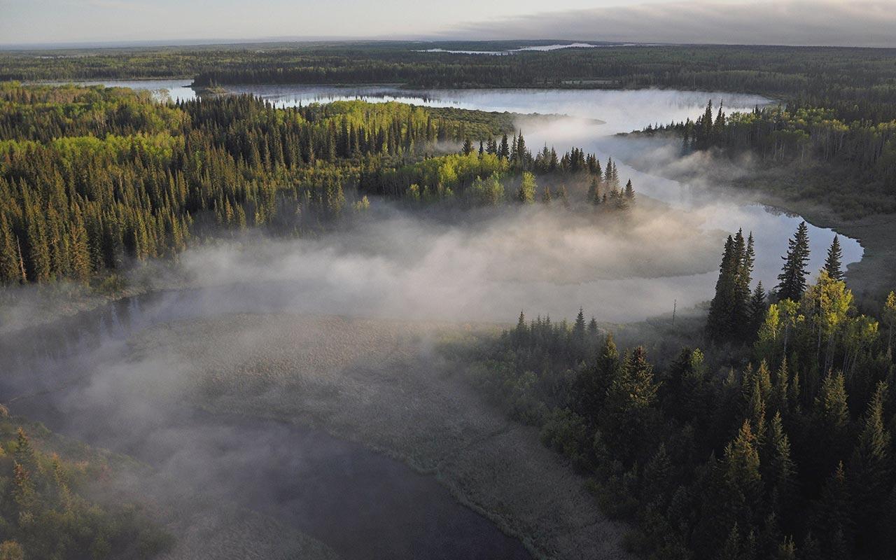 Canada's Boreal