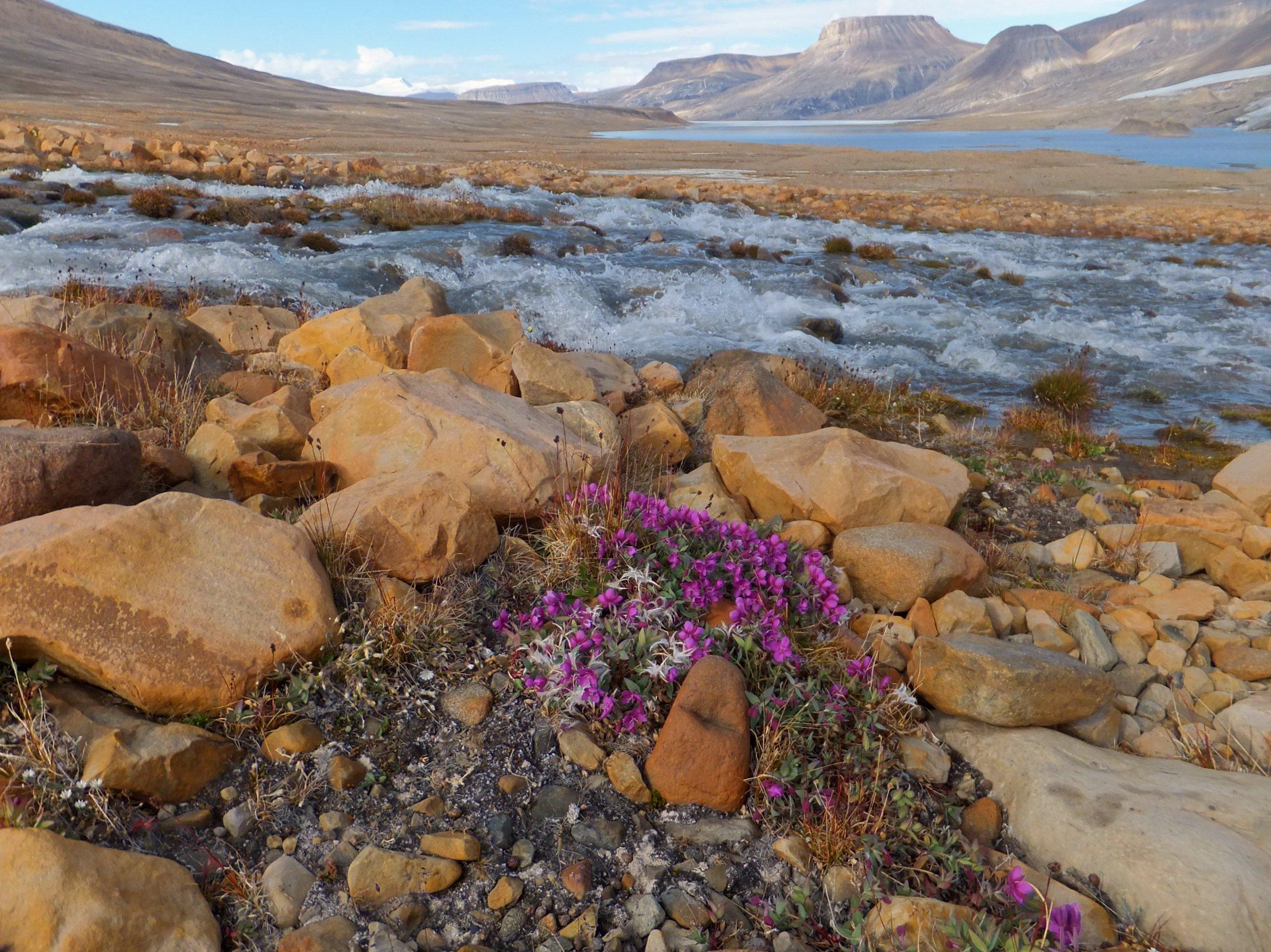 Ellesmere Island