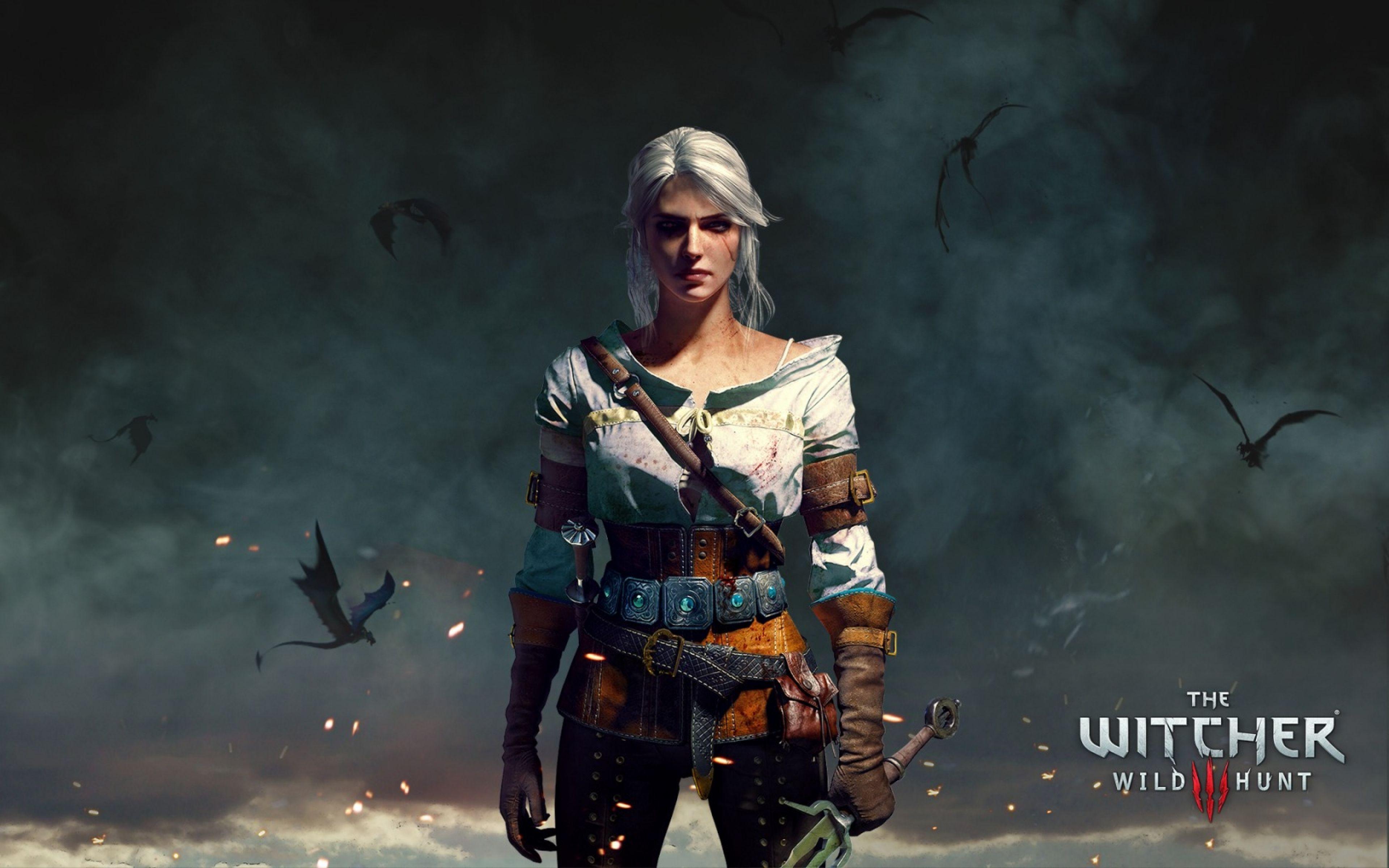 Art. The witcher, The witcher wild hunt