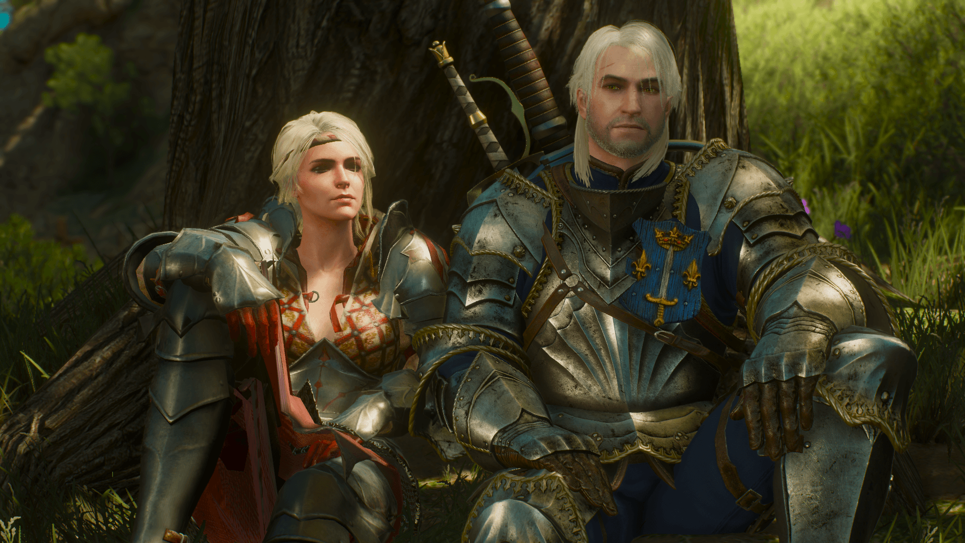 Ciri and Geralt at The Witcher 3 Nexus and community