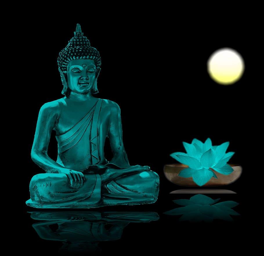 HD wallpaper: Gautama Buddha psoter, meditation, relaxation, meditate, buddhism
