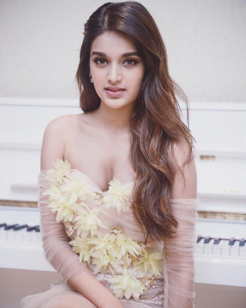 Nidhhi Agerwal Bio, Wiki, Affairs, Boy Friends, Facts BioWikiBlog