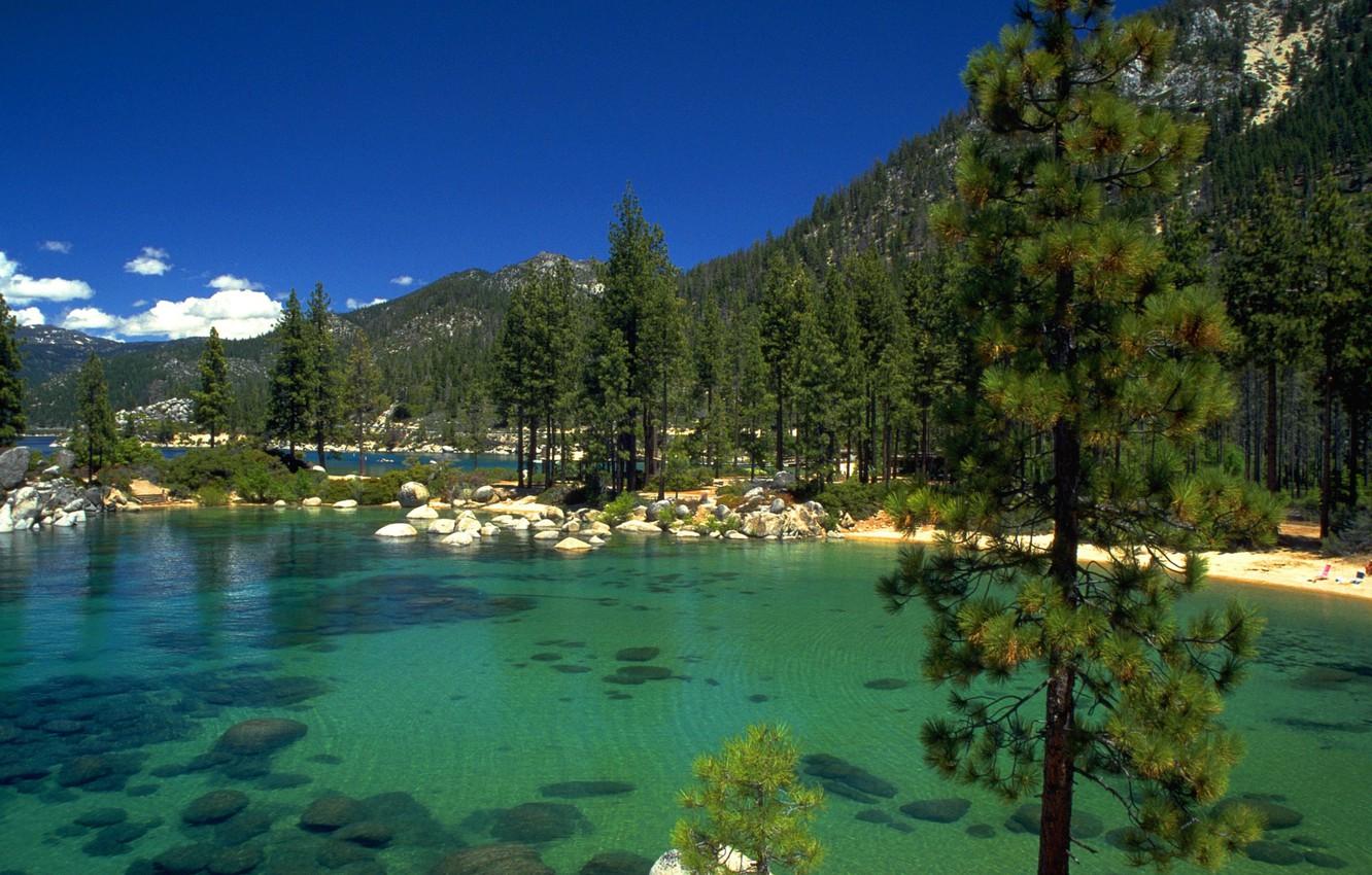 Wallpaper forest, lake, stones, California, lake Tahoe image