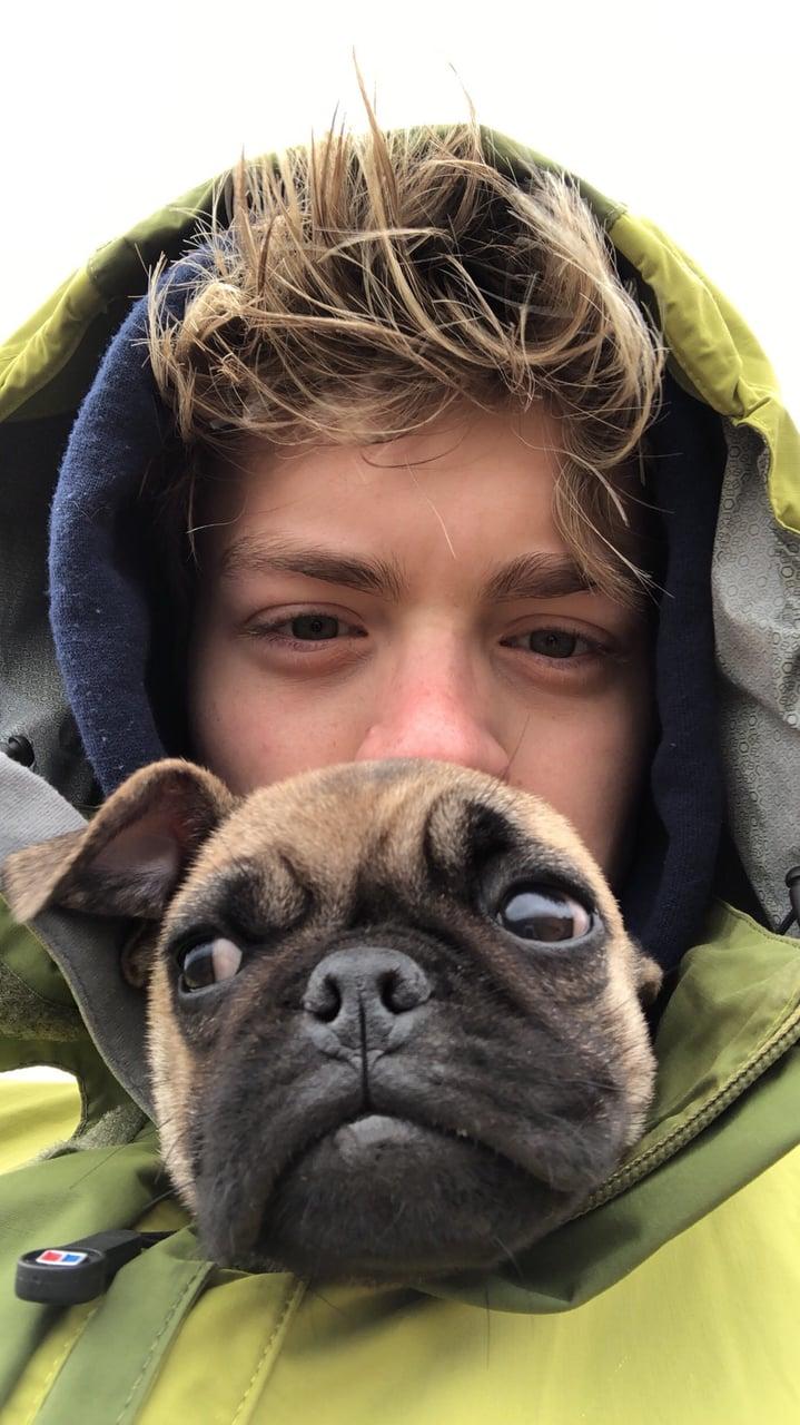 Image about wallpaper in New Hope Club by Lívia