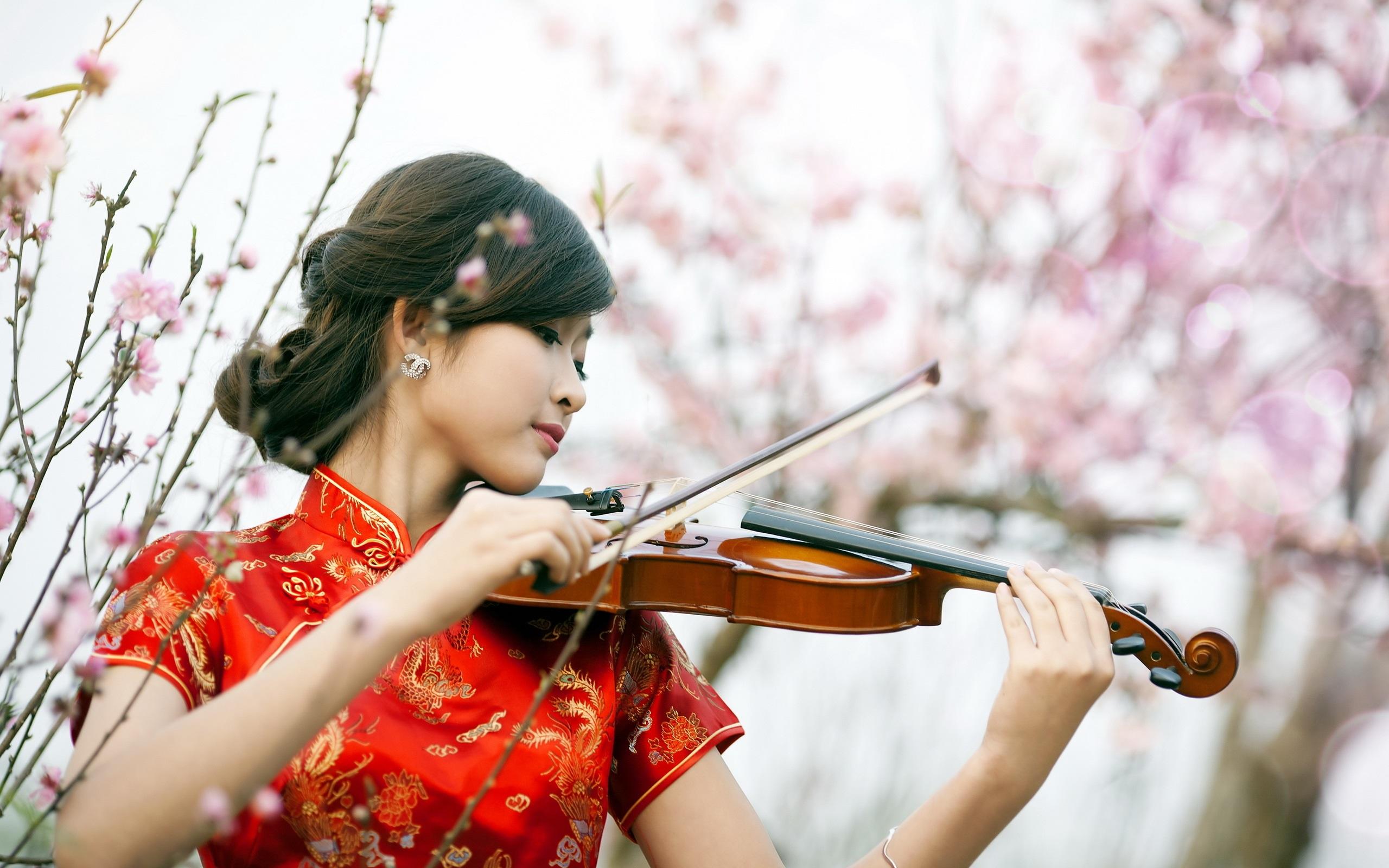 Wallpaper Red cheongsam girl play violin 2560x1600 HD Picture, Image