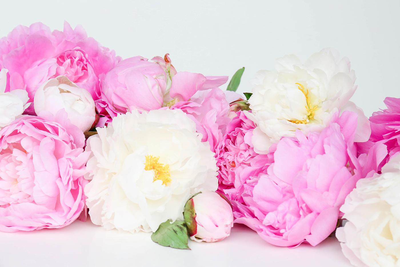 ProperPrintables \ Colorful Peonies Wallpaper Download