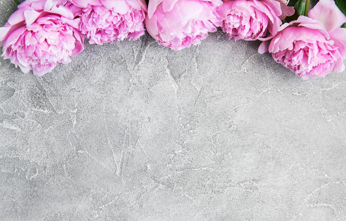 Wallpaper flowers, pink, wood, pink, flowers, peonies, peonies