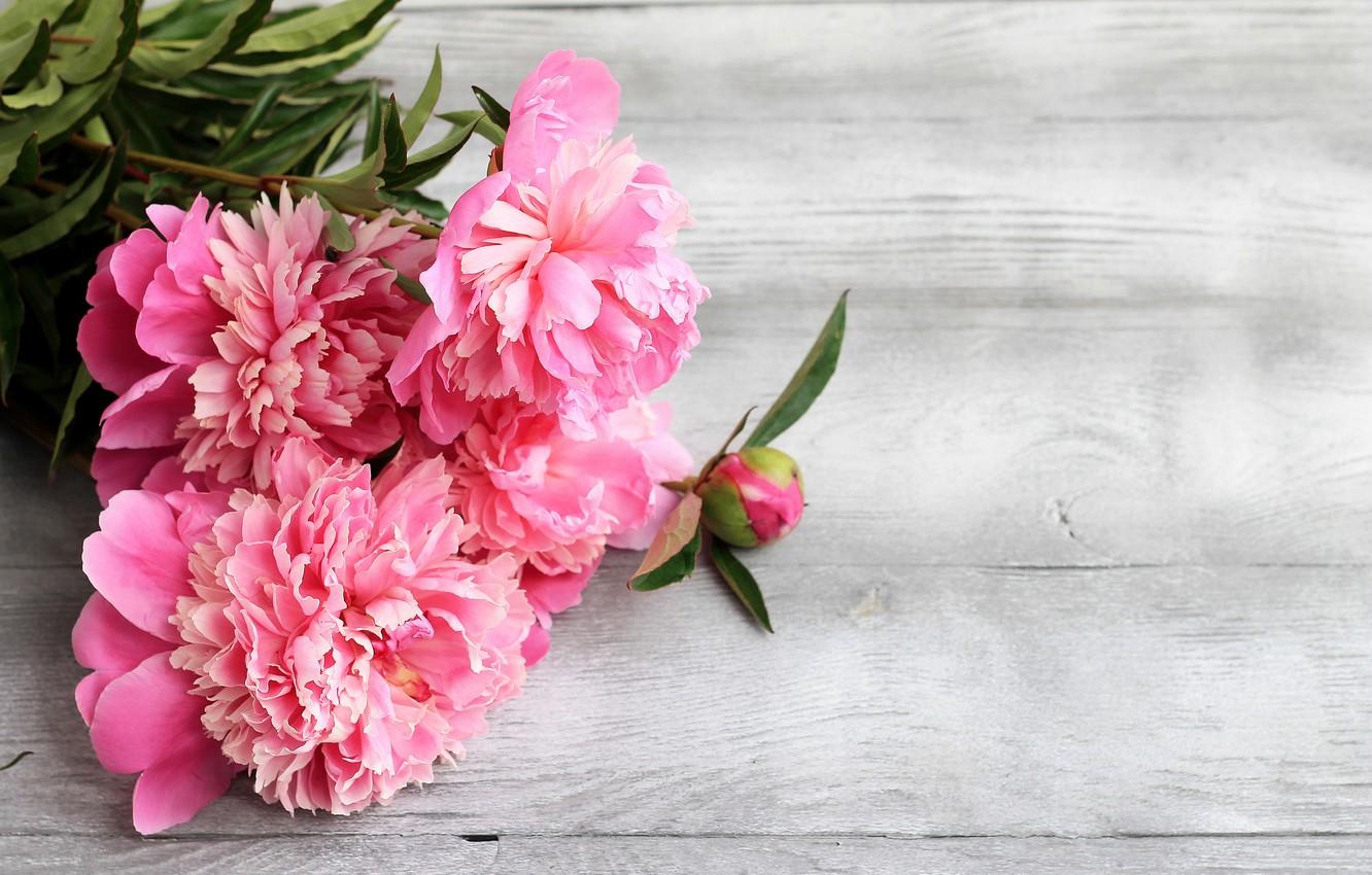 Wallpaper flowers, pink, wood, pink, flowers, peonies, peonies