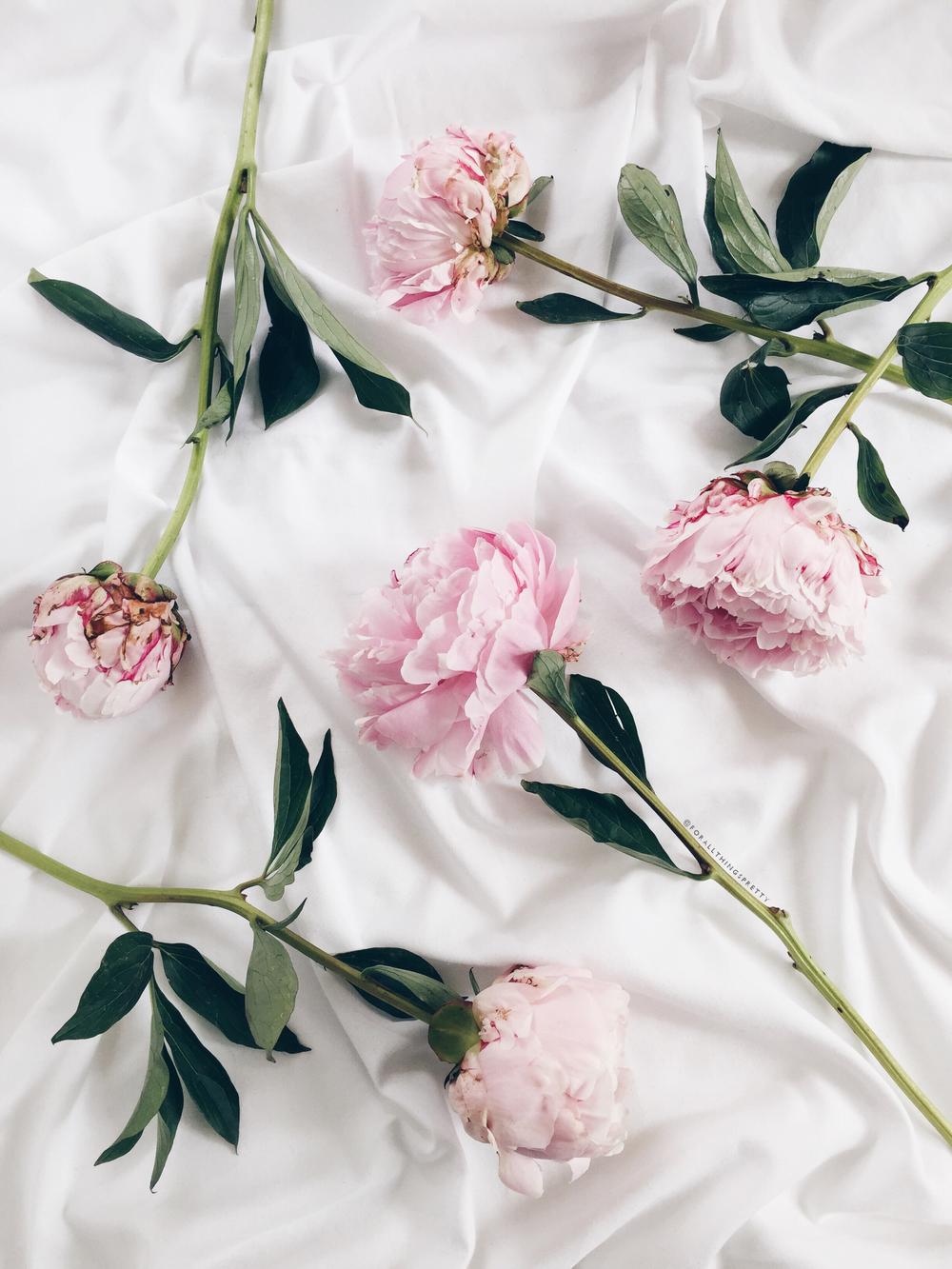 Dress Up Your Tech: Peony Wallpaper