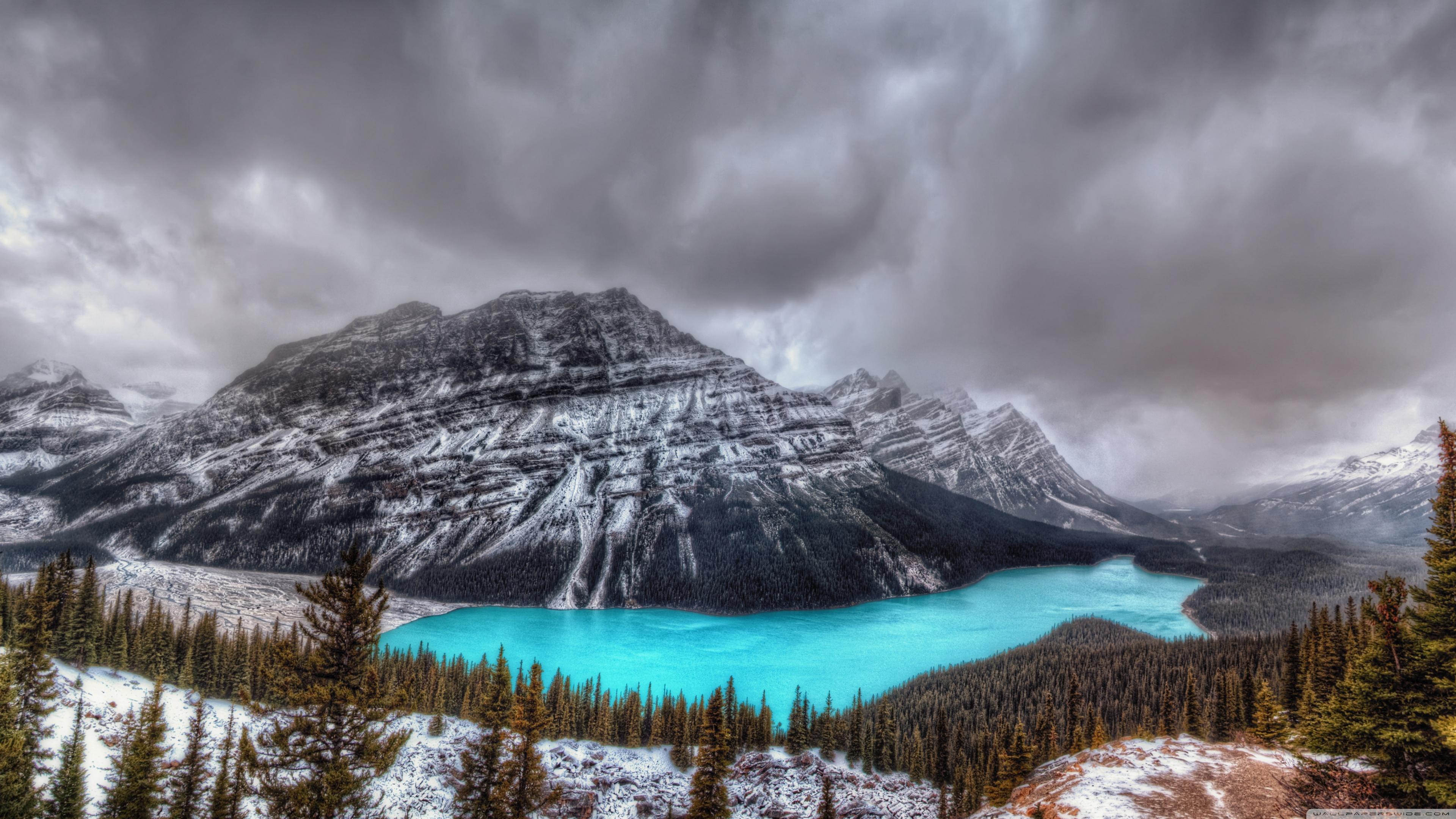 Peyto Lake, Canadian Rockies, Banff National Park Ultra HD Desktop