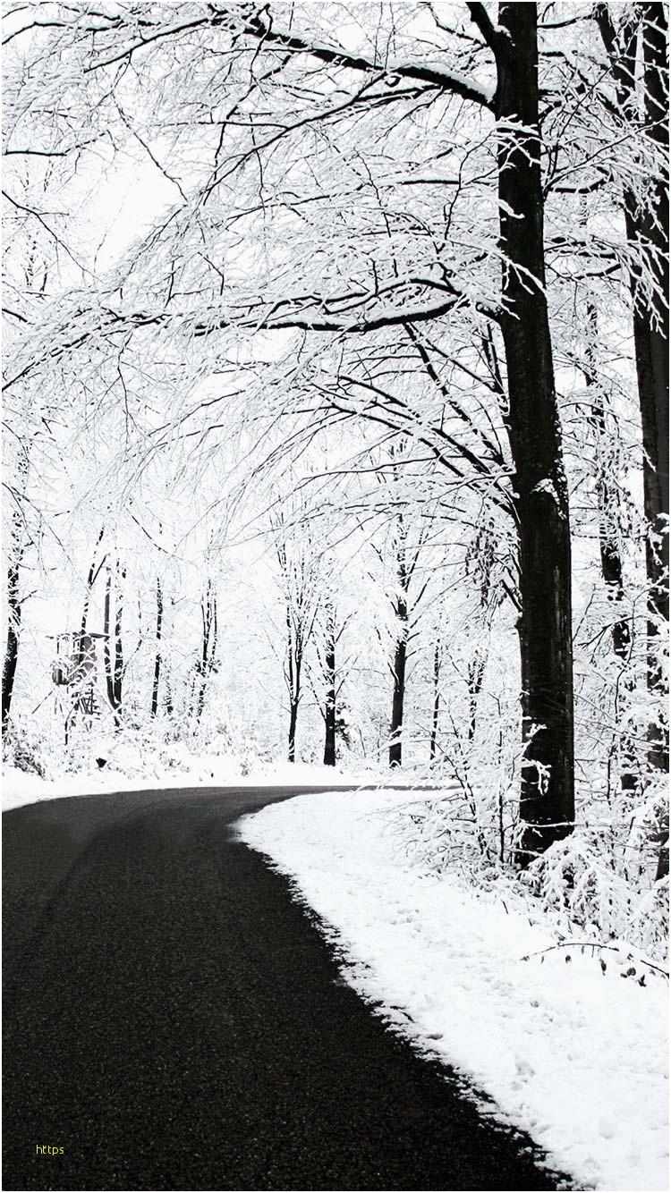 Pretty White Winter Wallpapers Wallpaper Cave Pretty White Winter Wallpapers Wallpaper Cave