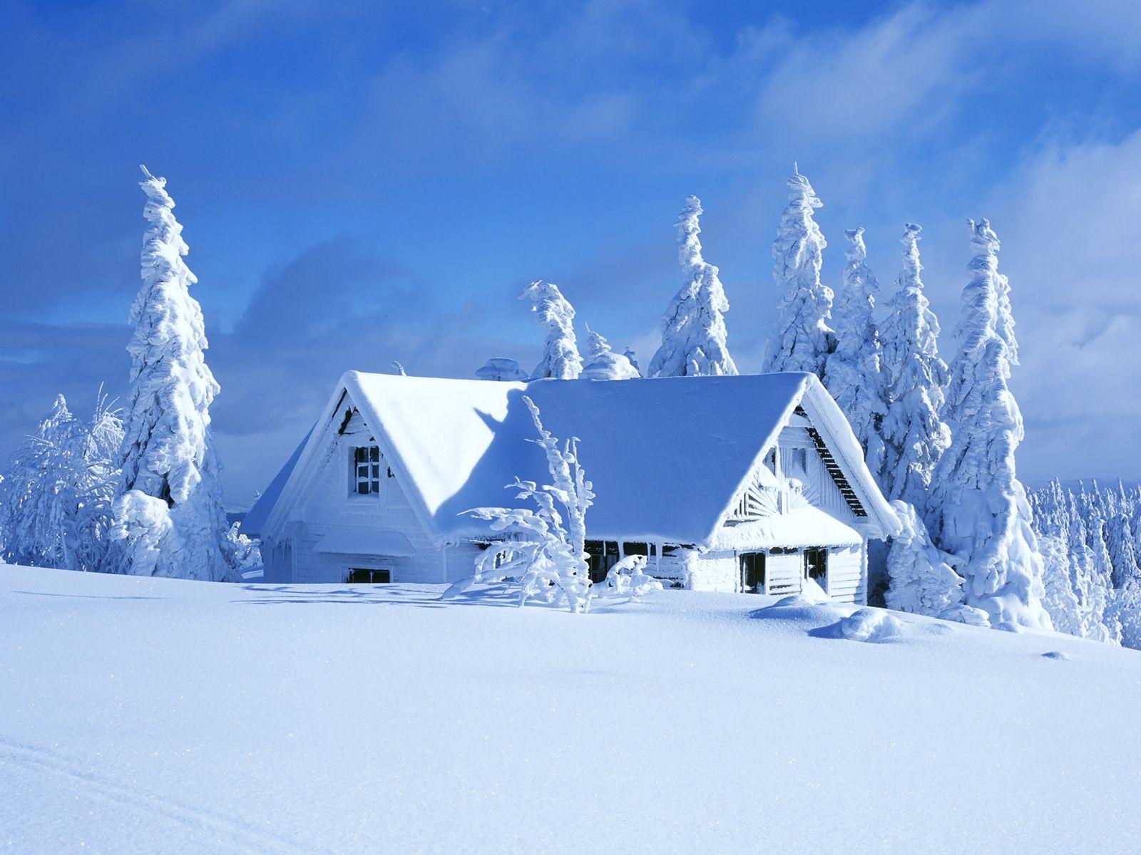 White winter landscape covered with snow. Beautiful Nature
