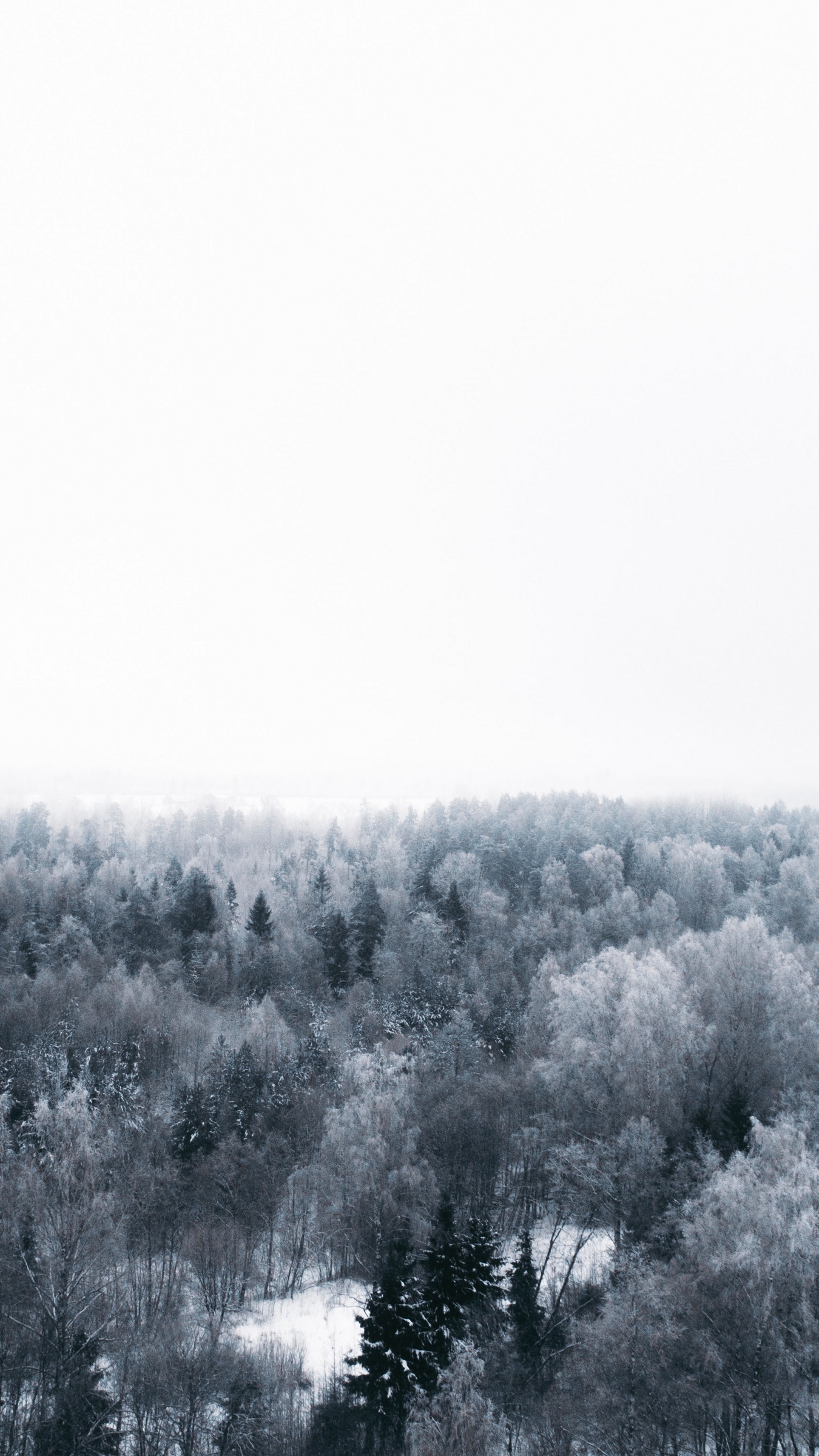 Download wallpaper 1350x2400 winter, trees, aerial view