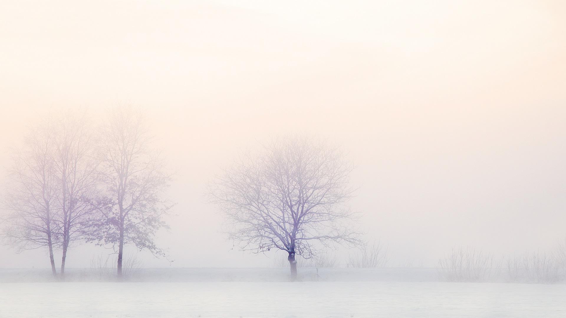 White winter scenery HD Wallpaperx1080