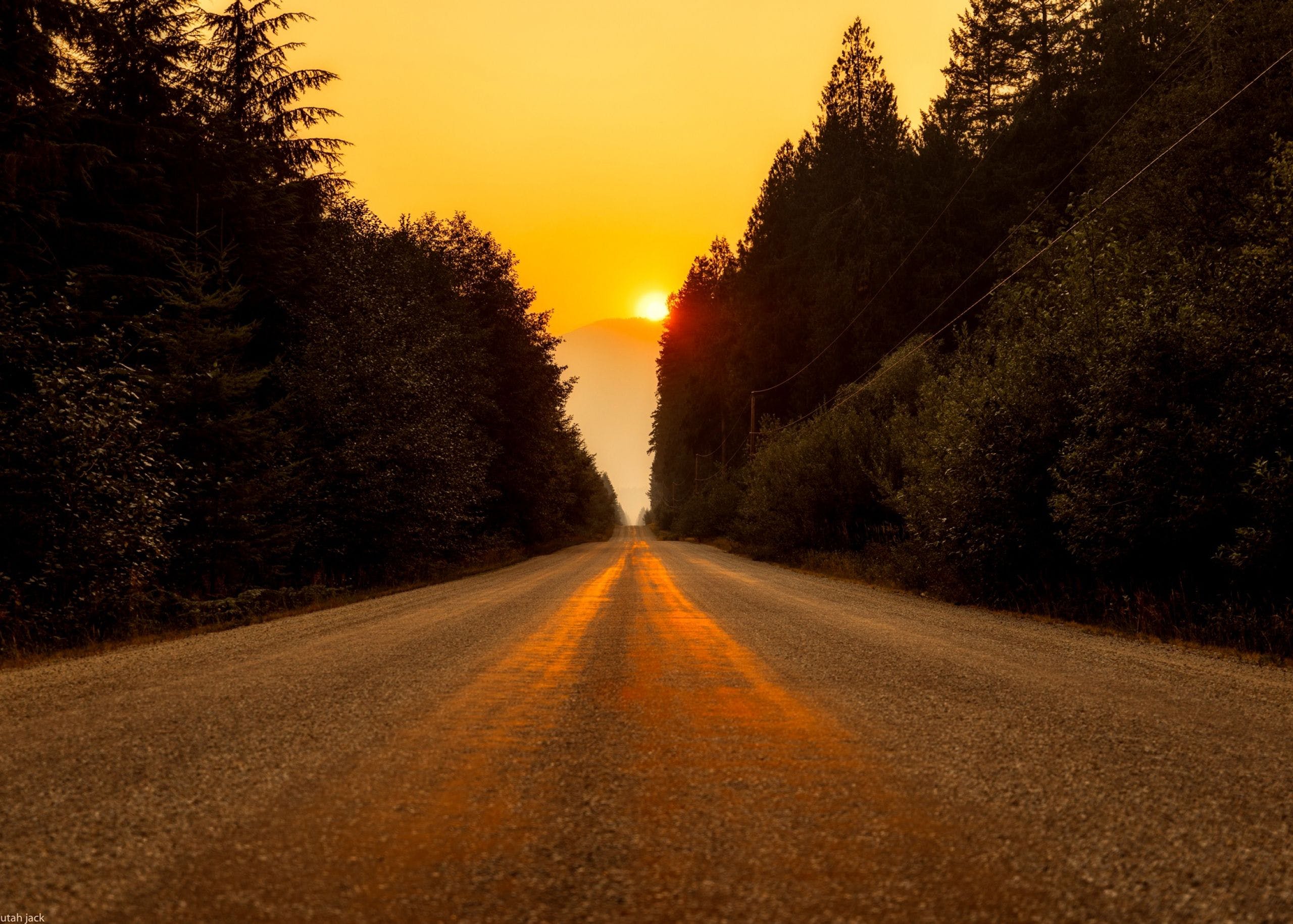 HD Road Forest Sunset Wallpaper