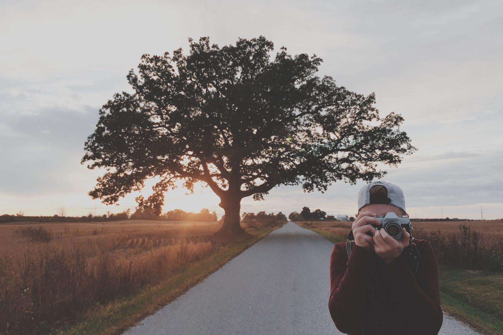 Sunset Road Field Tree Camera Photographer Wallpaper