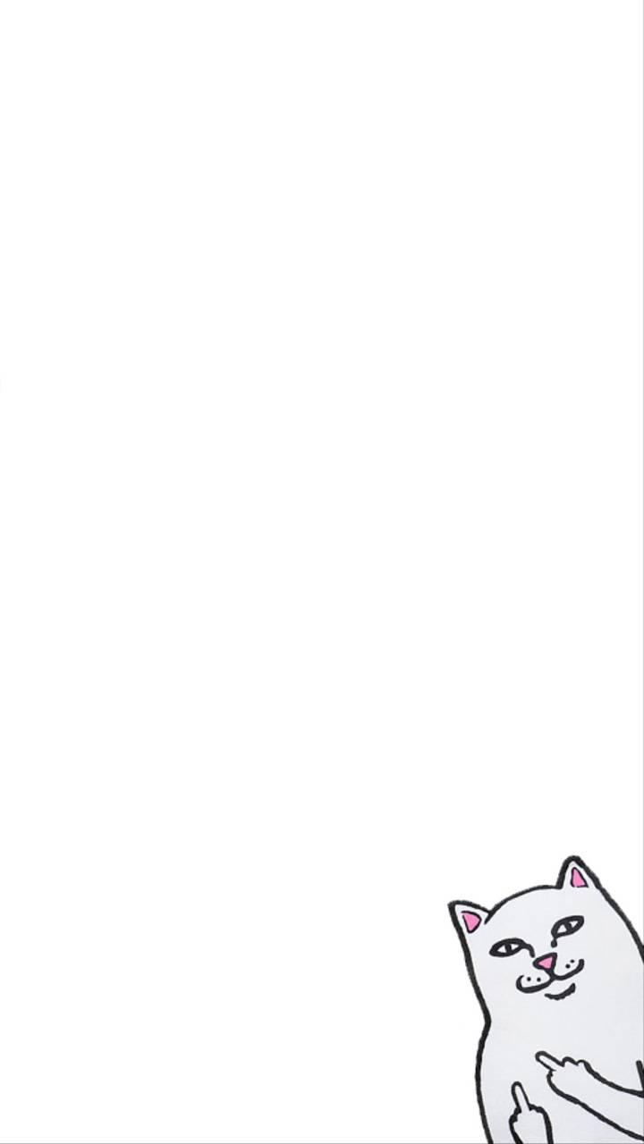 Ripndip Wallpaper