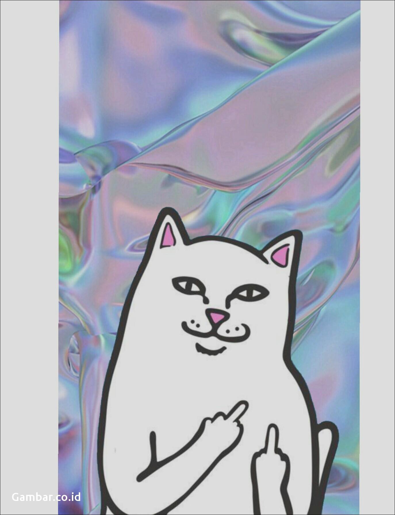 Rip N Dip Logo Png Wallpaper & Background