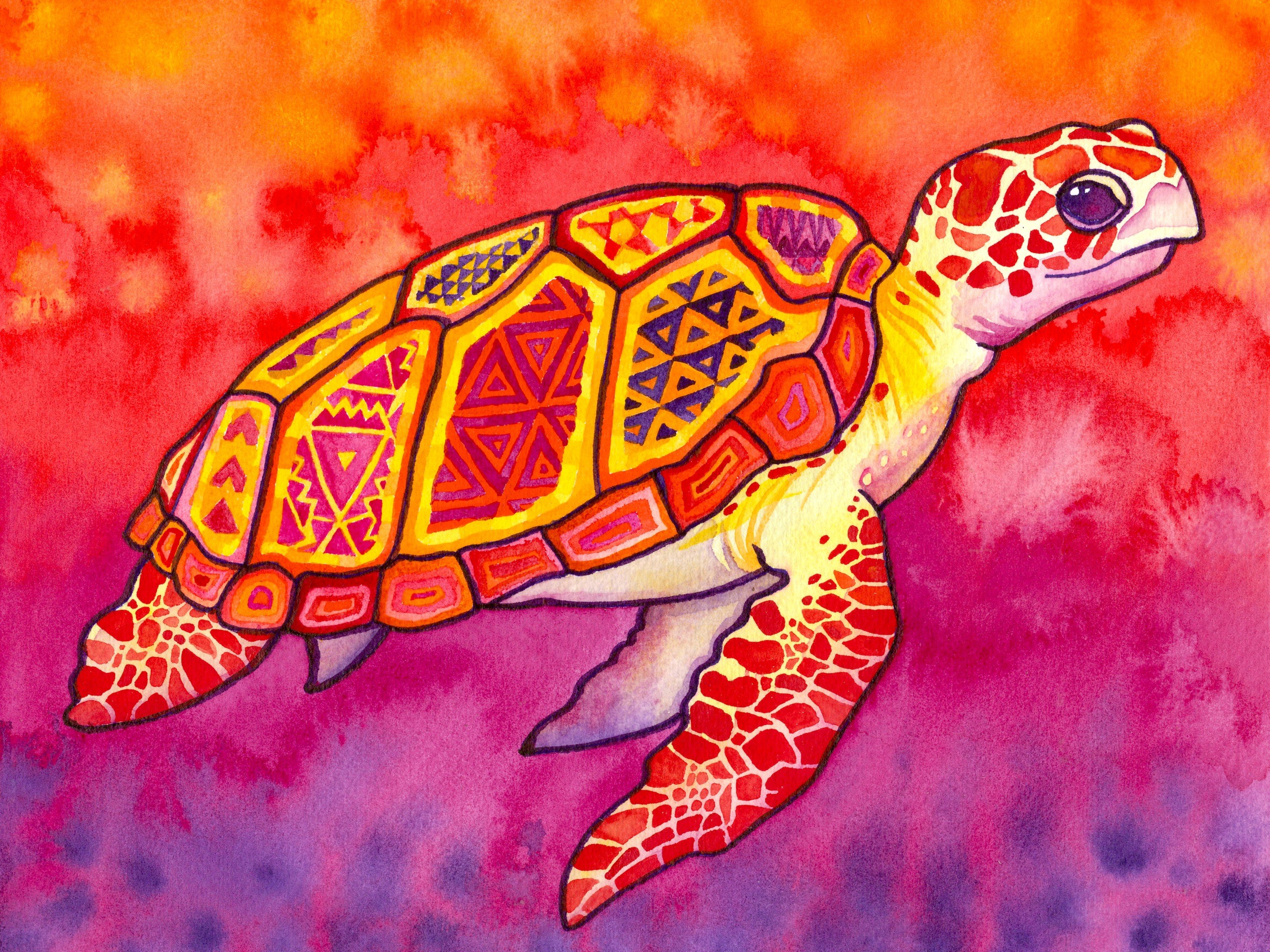 Abstract paintings multicolor patterns turtles sea turtles watercolor wallpaperx2400