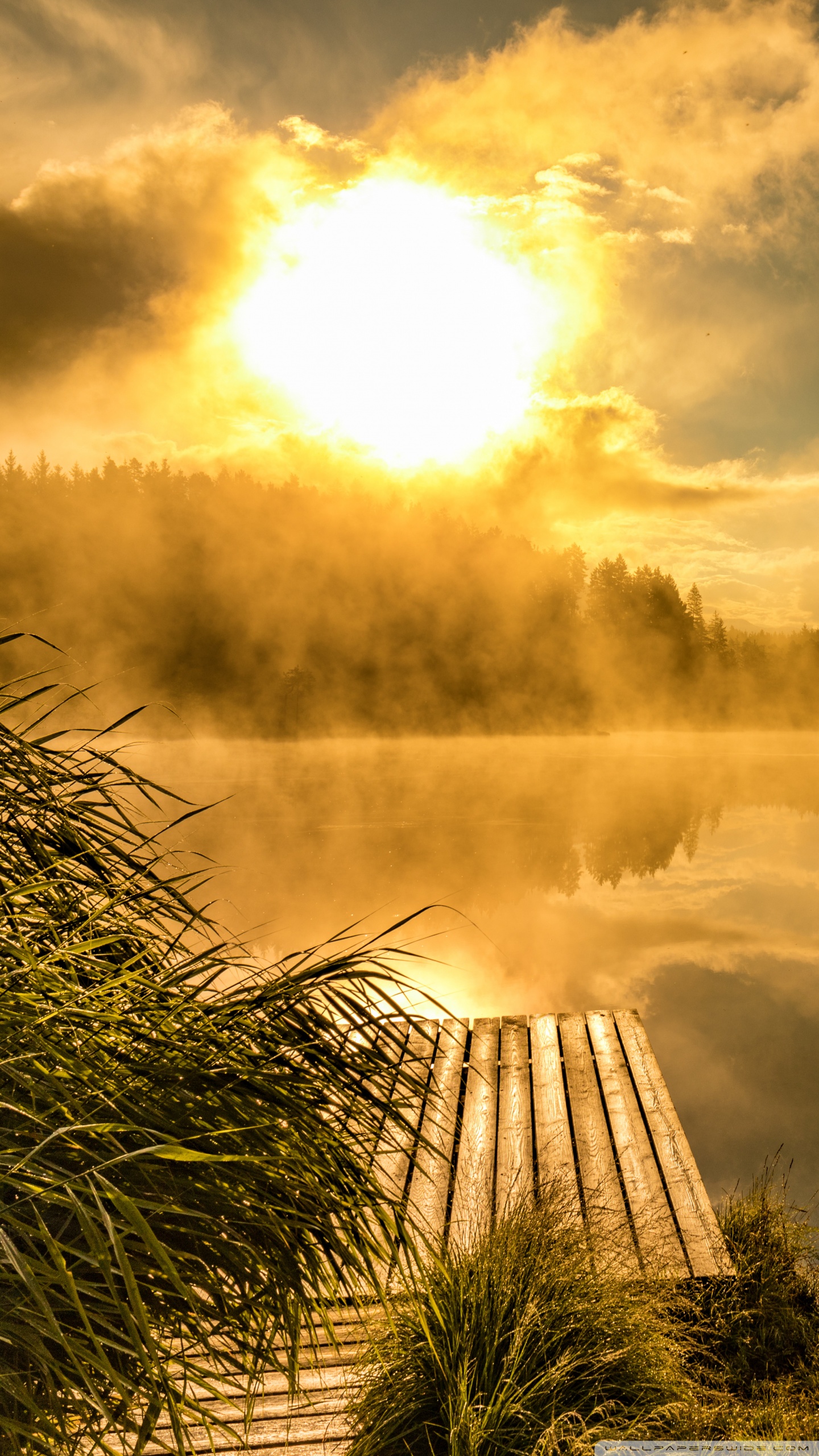 Golden Sunrise at Natural Lake 4K HD Desktop Wallpaper for 4K