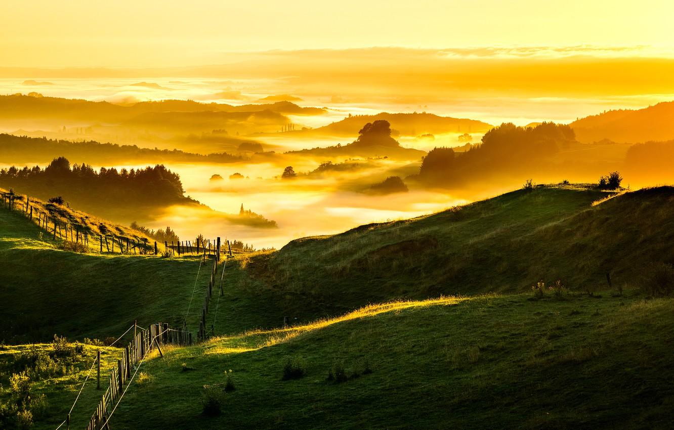 Wallpaper New Zealand, Foggy, Golden Sunrise image for desktop