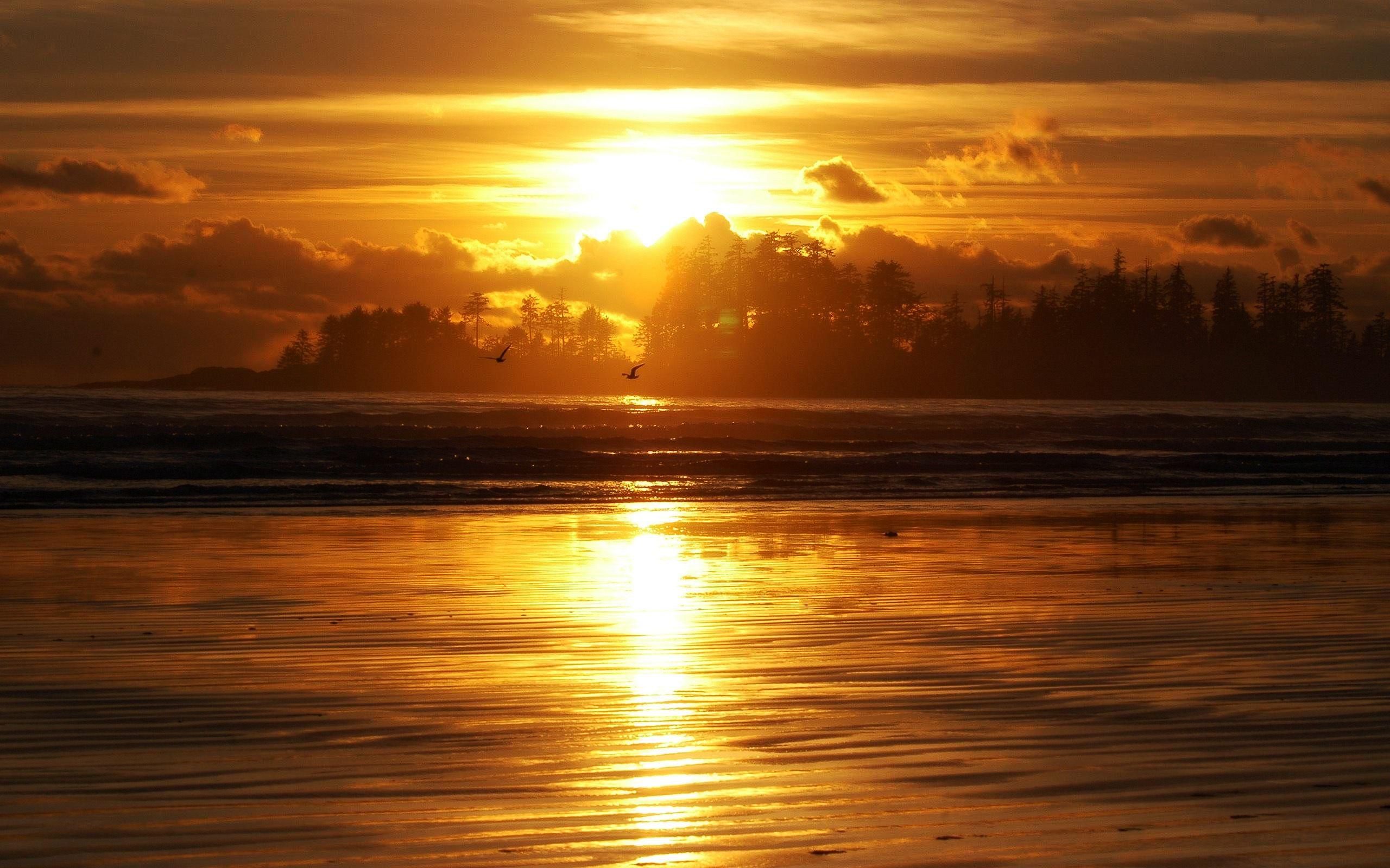 Golden sunrise courtesy of Bev Thiessen! #aloettegold. Sunrise
