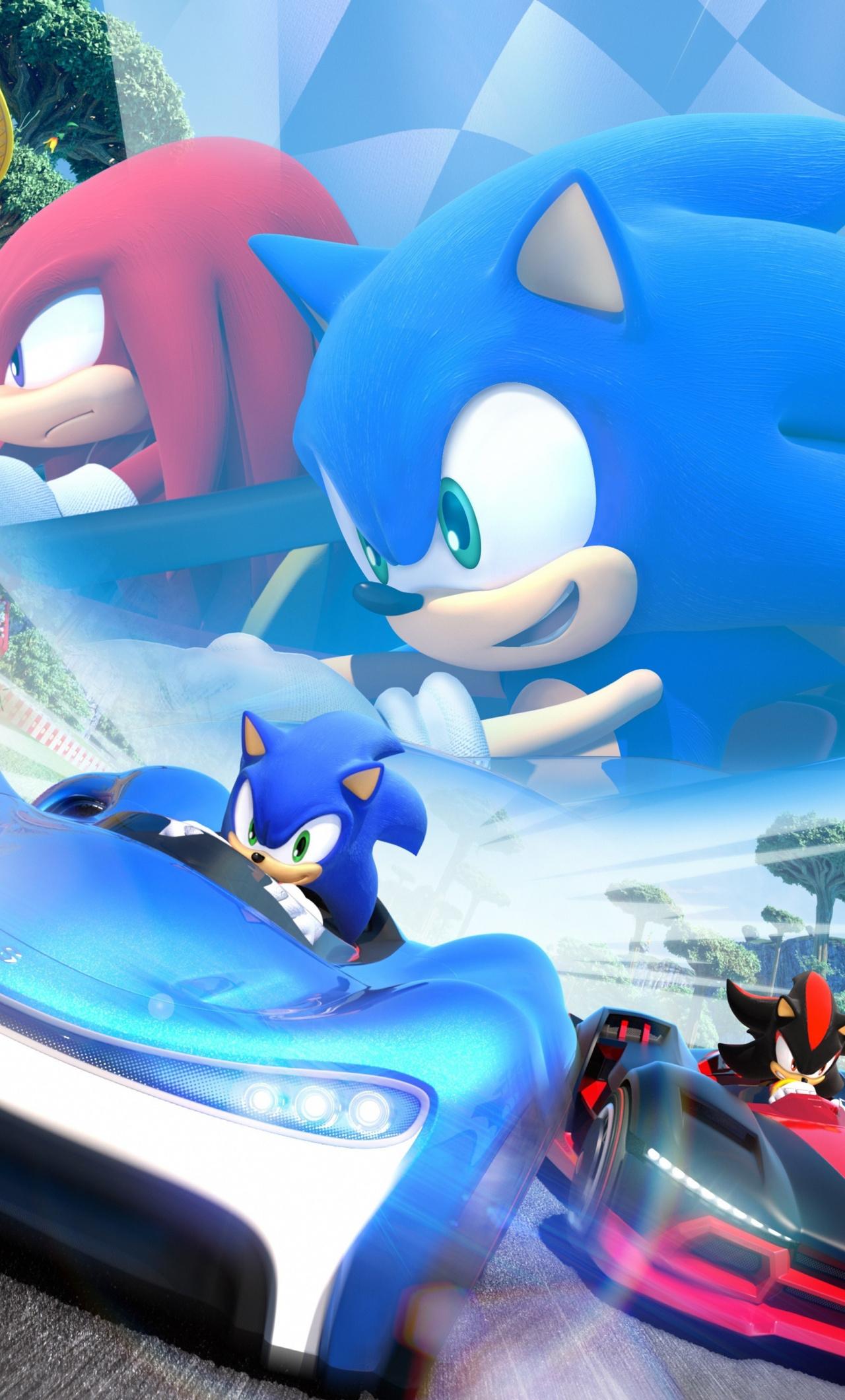 Download 1280x2120 wallpaper sonic the hedgehog, video game, kart