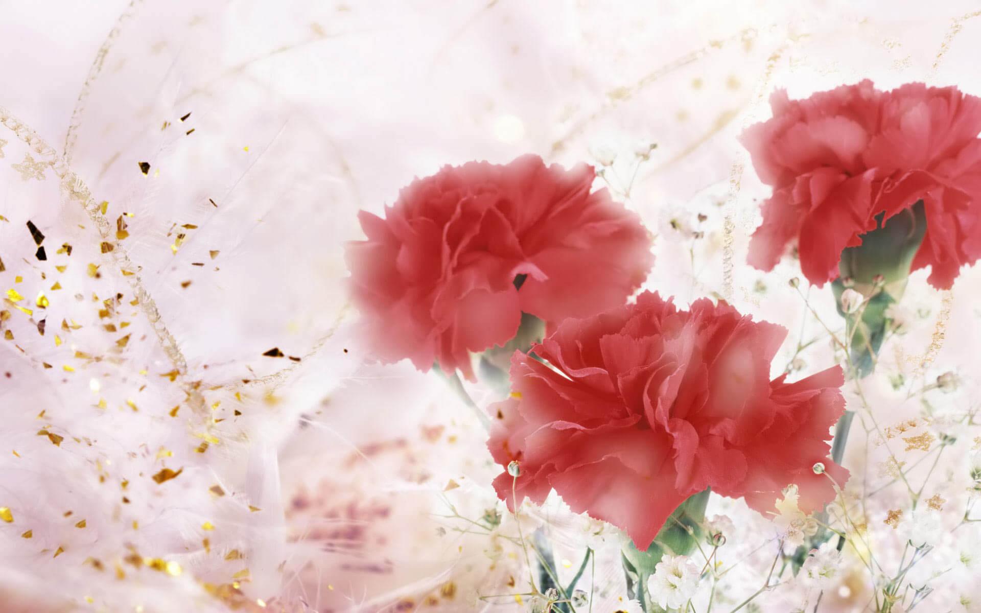 Gifts Flowers Valentine Desktop Background Pc Background Wallpaper & Background Download