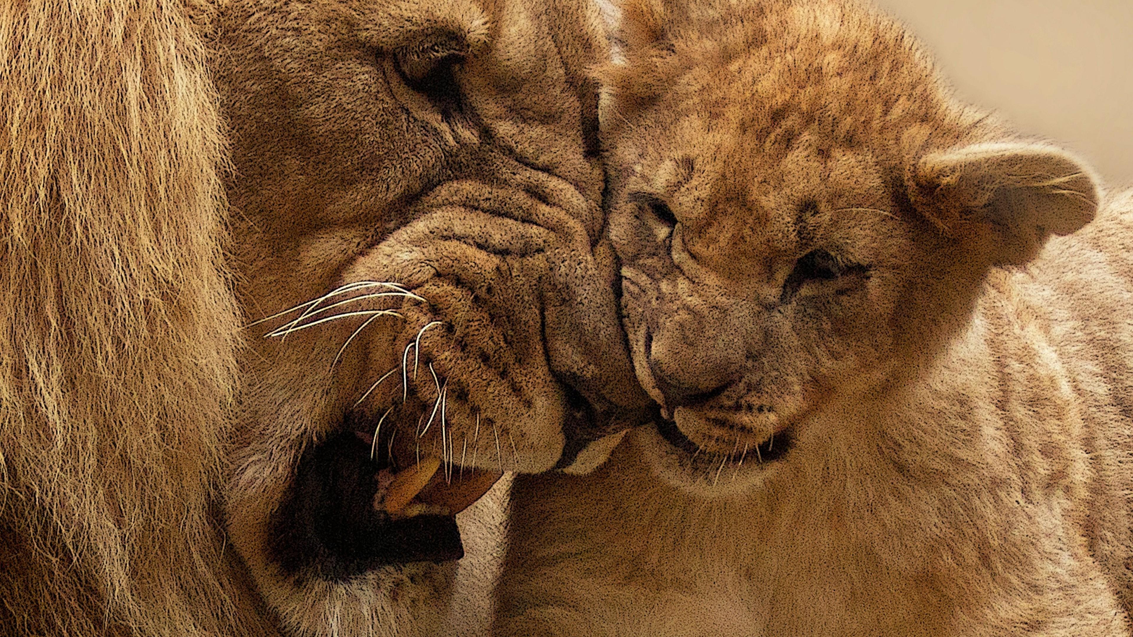 Wallpaper 4k Lion Mother Cub 4k animals wallpaper, cub wallpaper, lion wallpaper, mother wallpaper