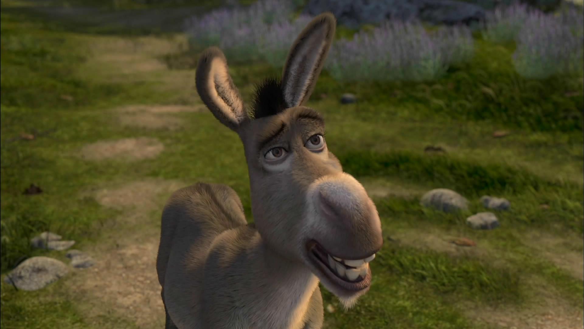 shrek donkey