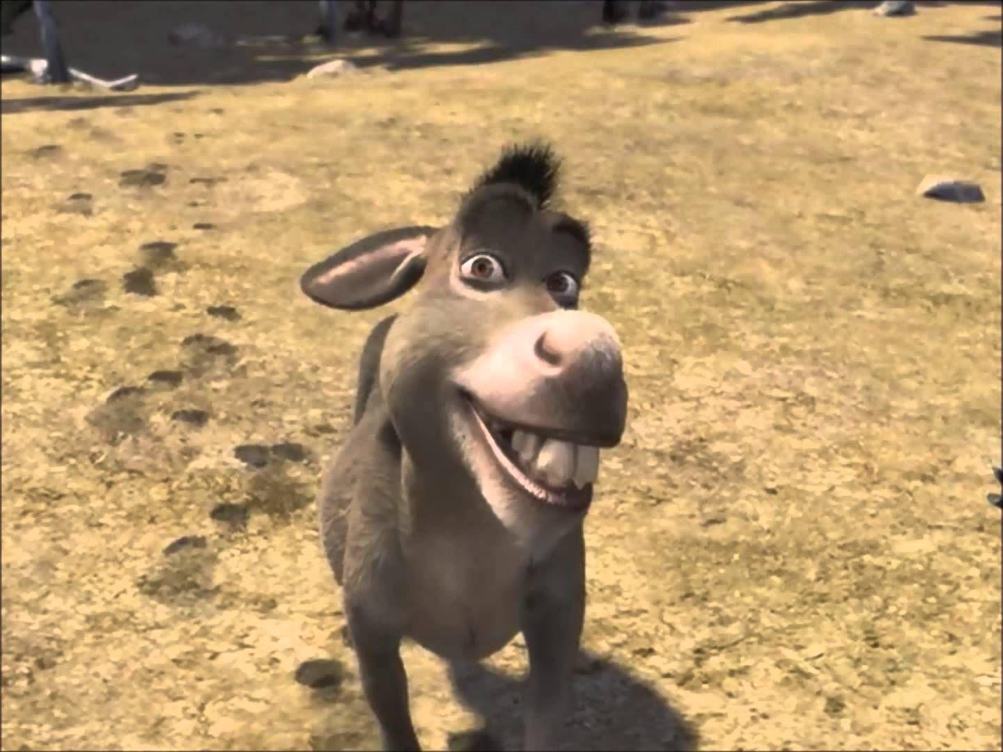 Shrek Characters Donkey