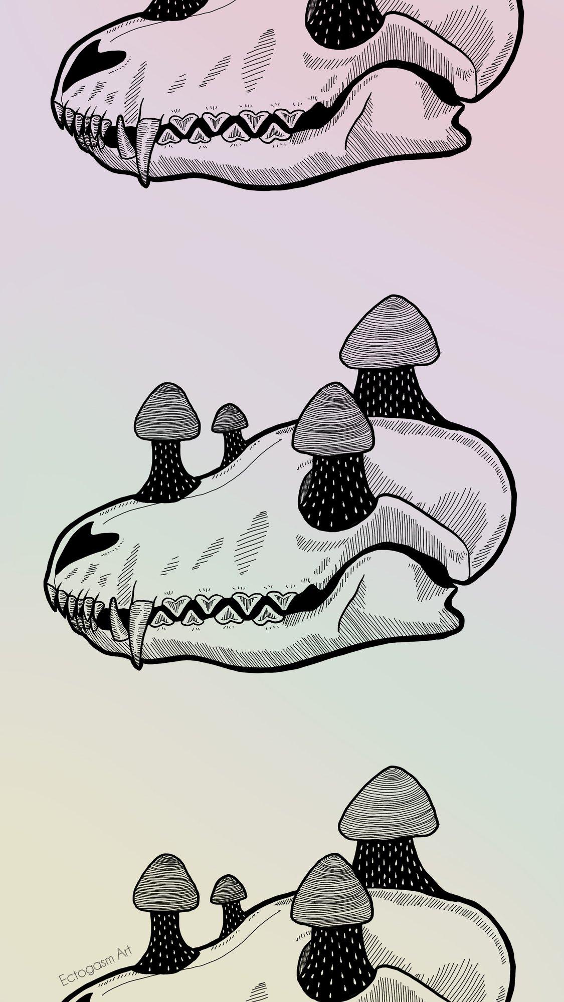Fox Skull & Mushrooms Phone Wallpaper Download