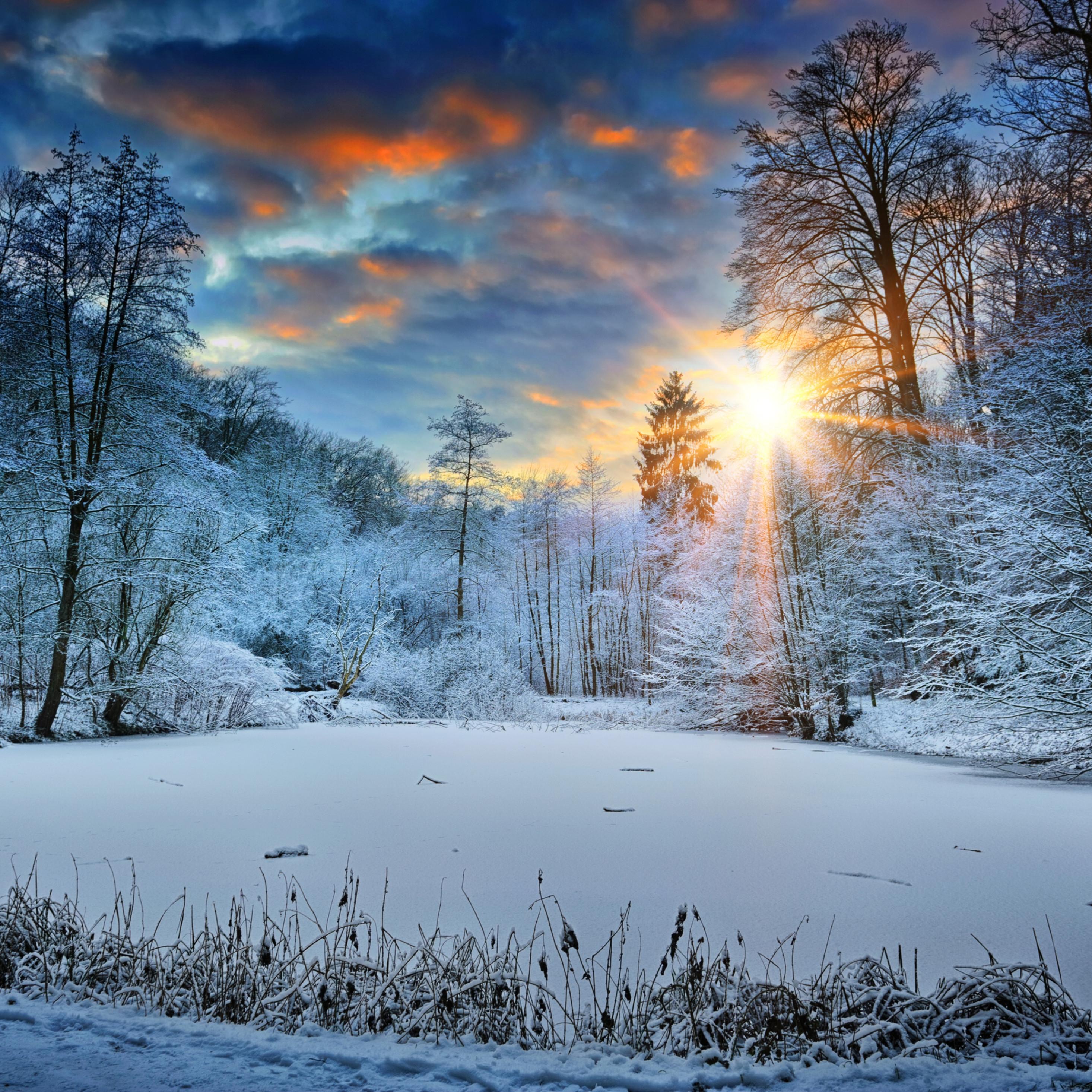 Sunbeams Landscape Snow In Winter Trees 4k iPad Pro