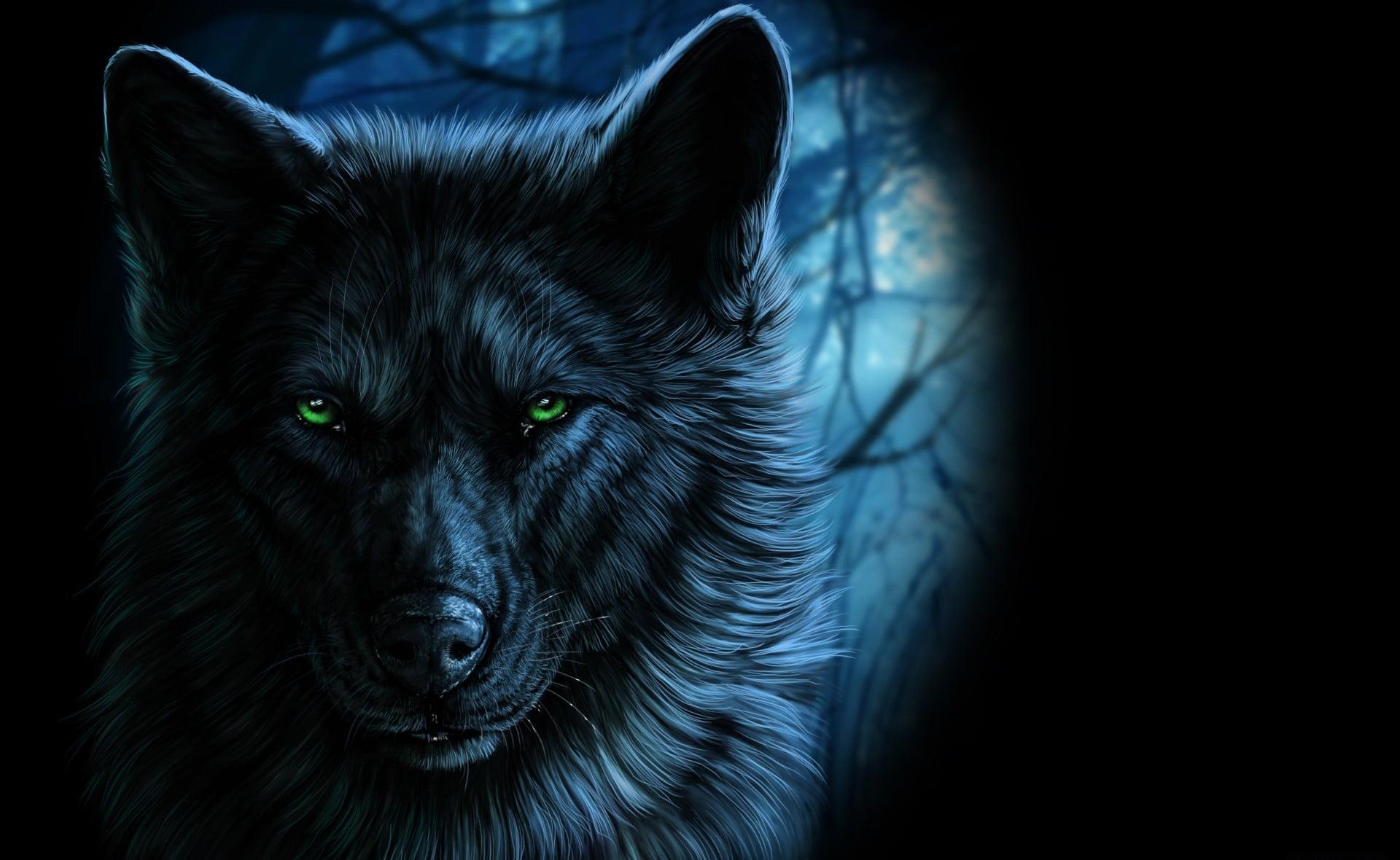 Black wolf wallpaper, animals, fantasy art, wolf, artwork HD