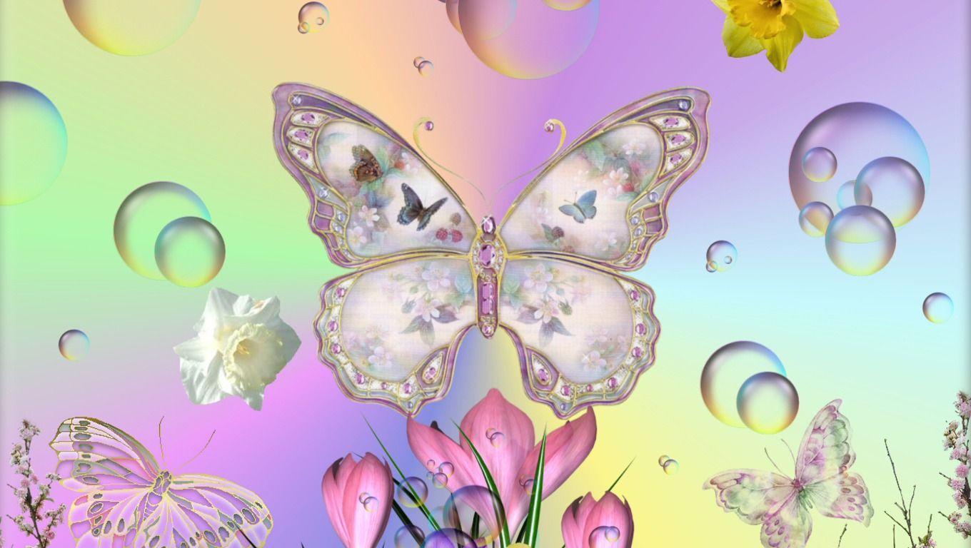Free download Spring HD Wallpaper wallpaper I like Butterfly