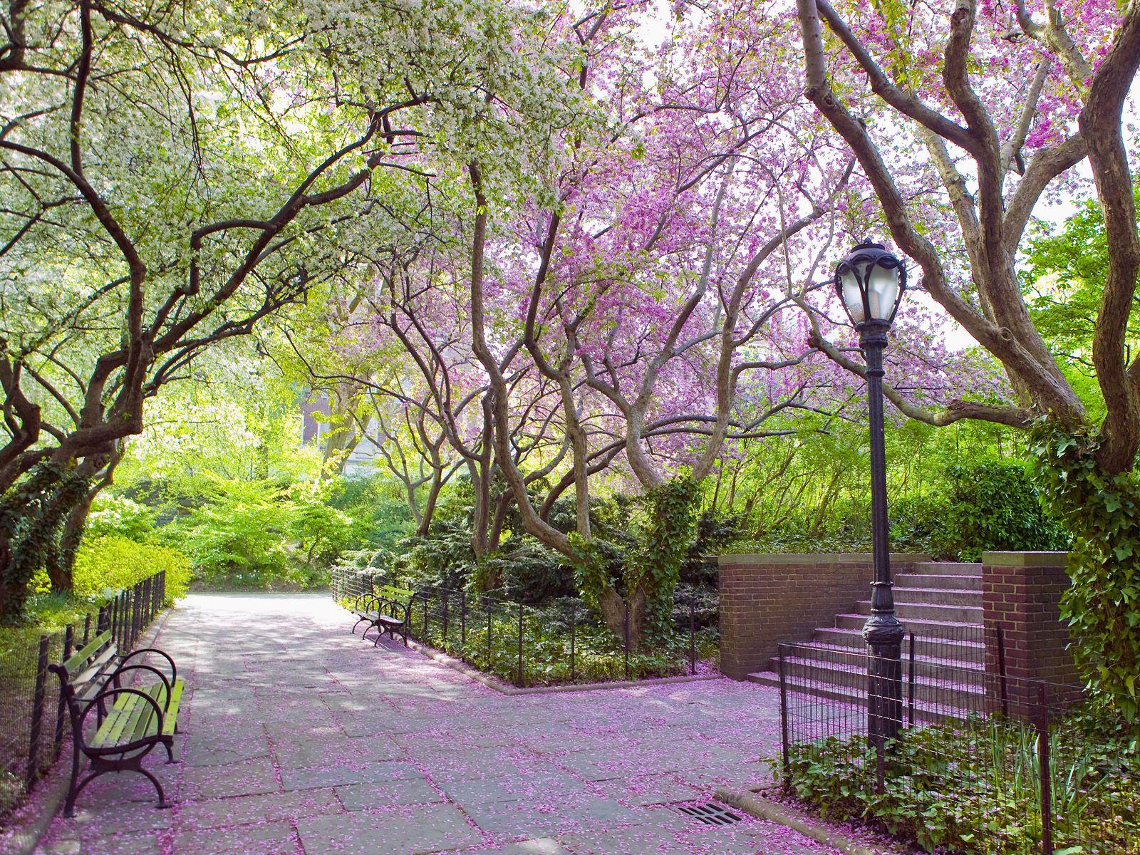 Central Park New York Spring.. HD Wallpaper