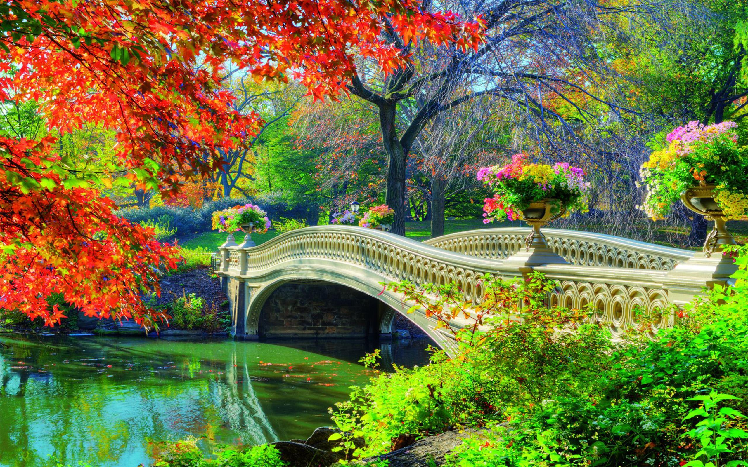 Central Park Bridge in Springtime HD Wallpaper. Background Image
